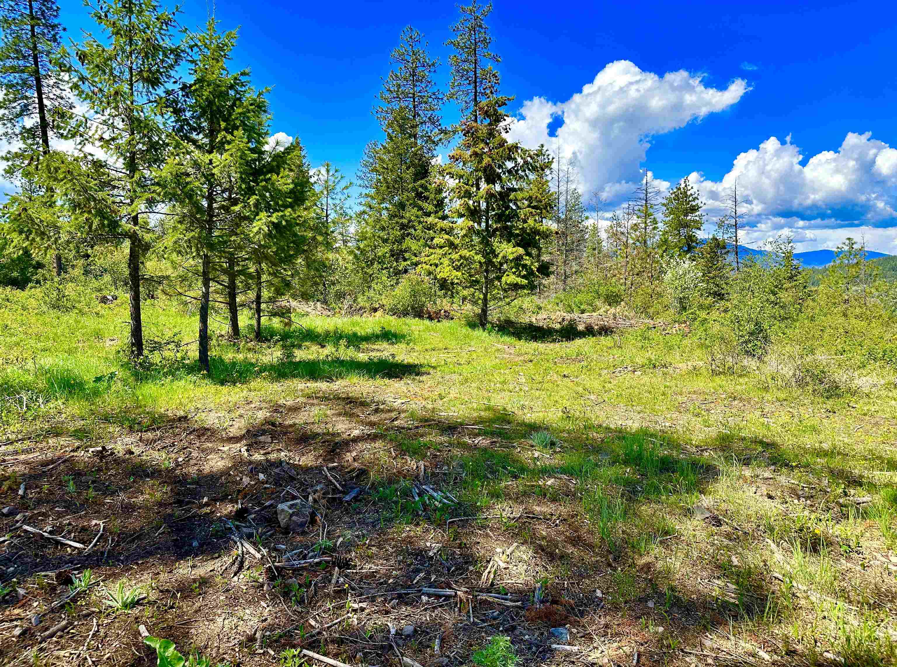1649 Palmer Loop - Photo 32