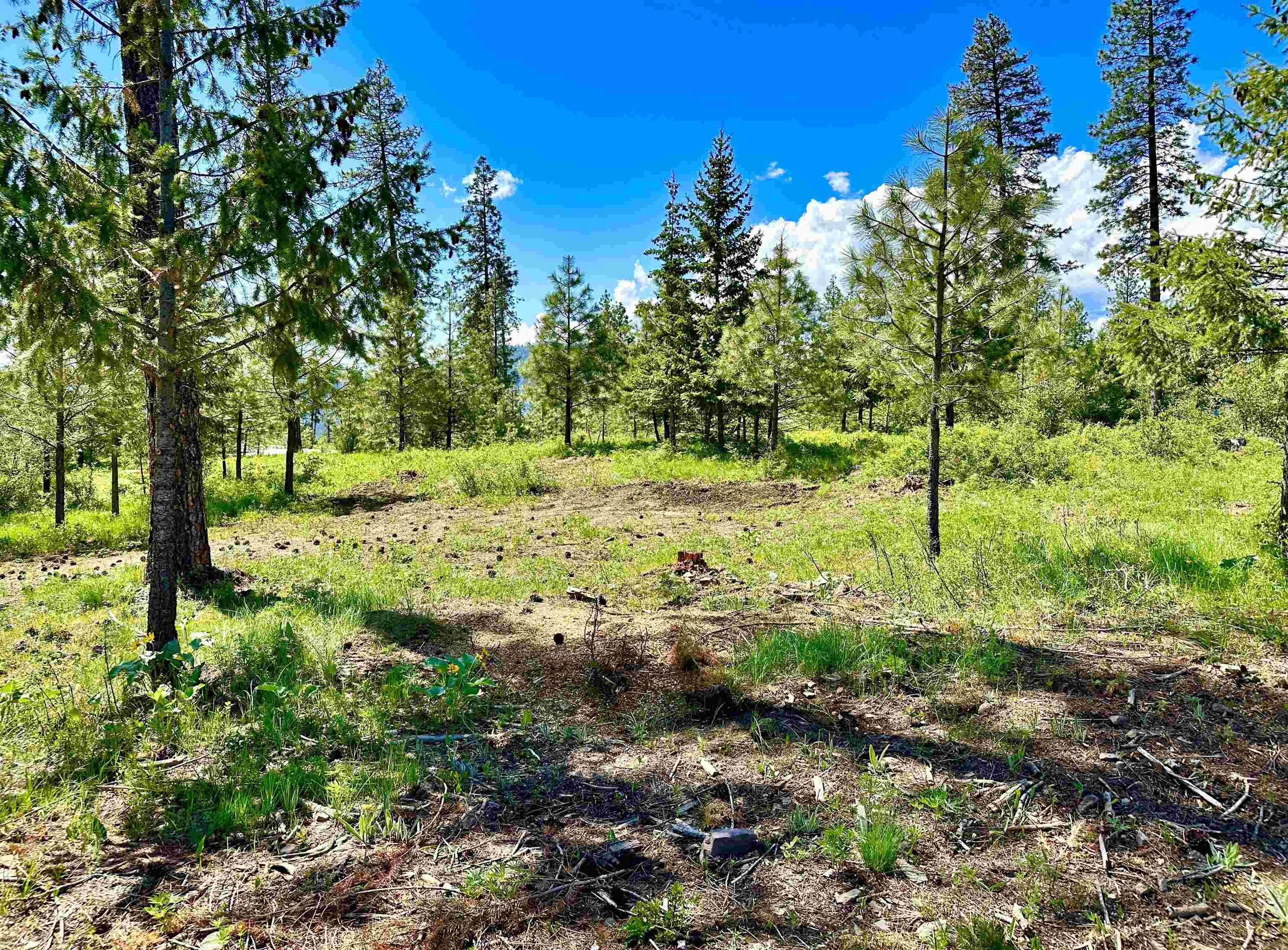1649 Palmer Loop - Photo 33