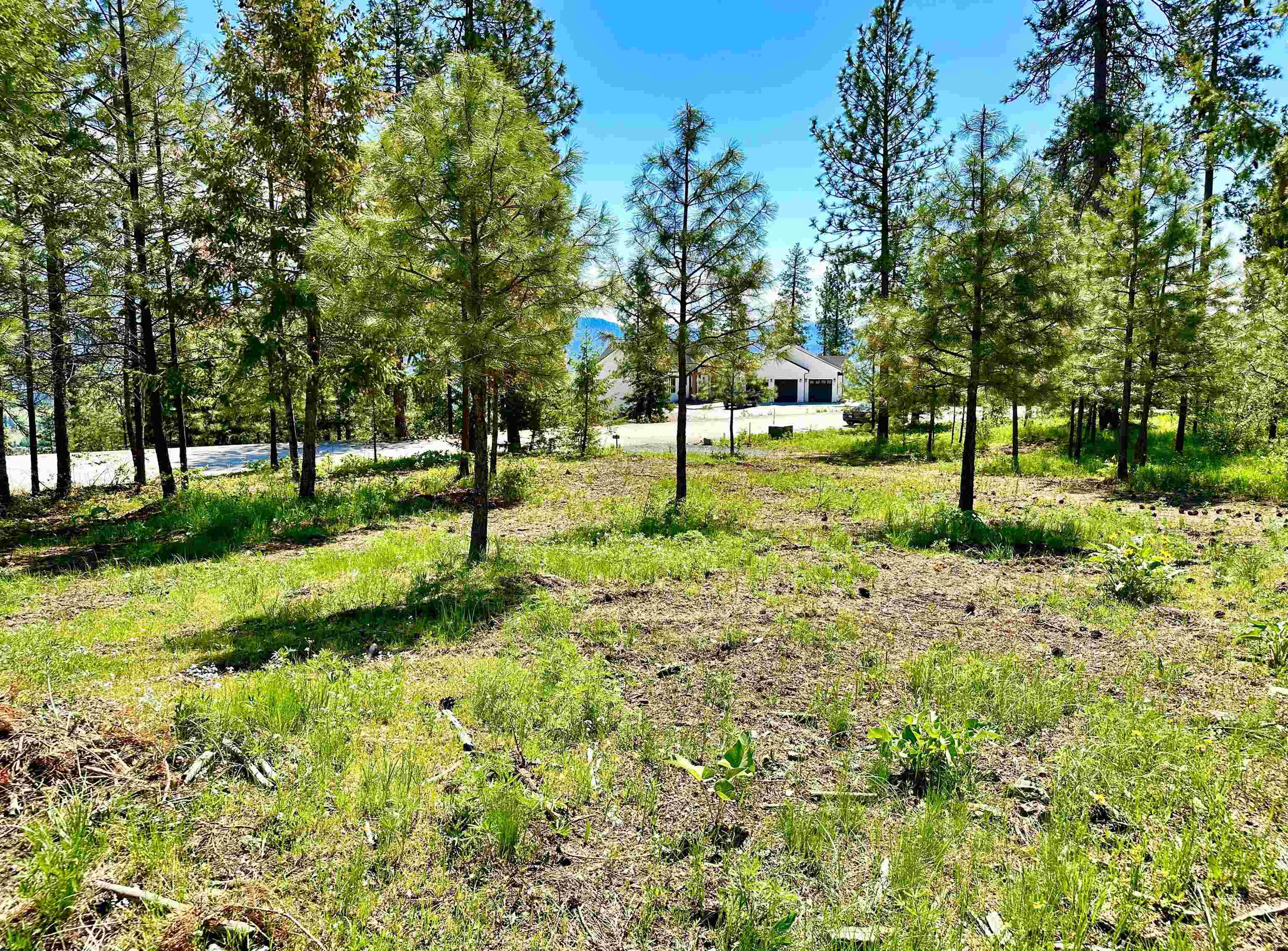 1649 Palmer Loop - Photo 34