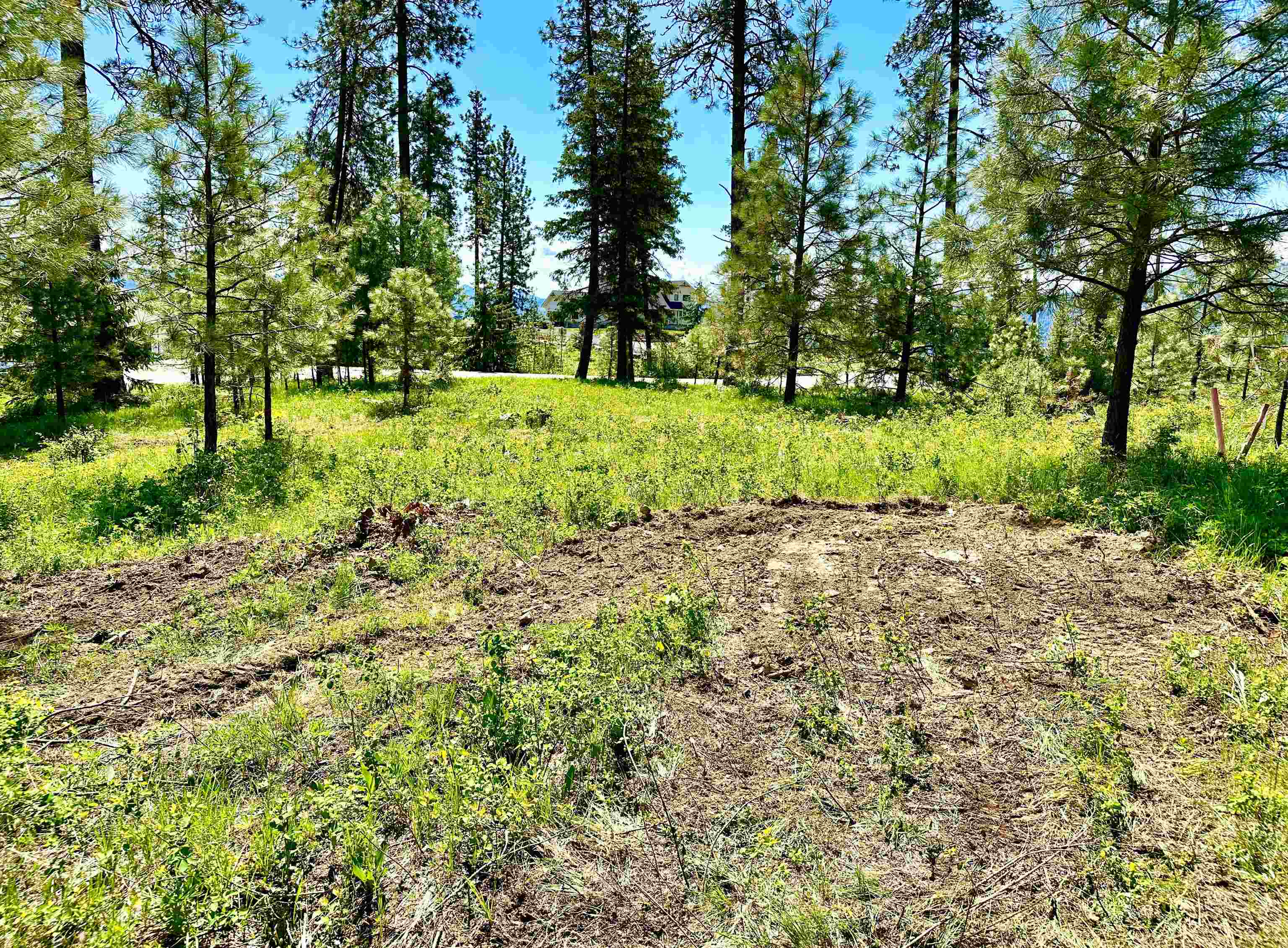 1649 Palmer Loop - Photo 35