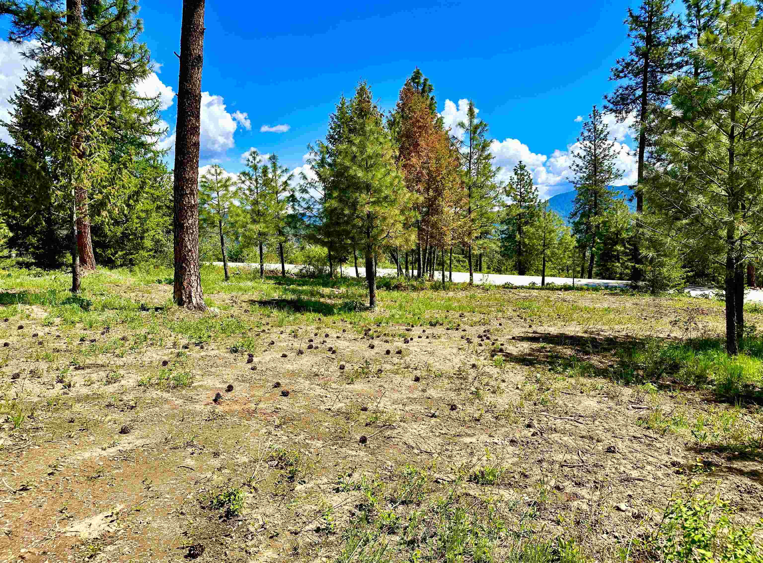 1649 Palmer Loop - Photo 36