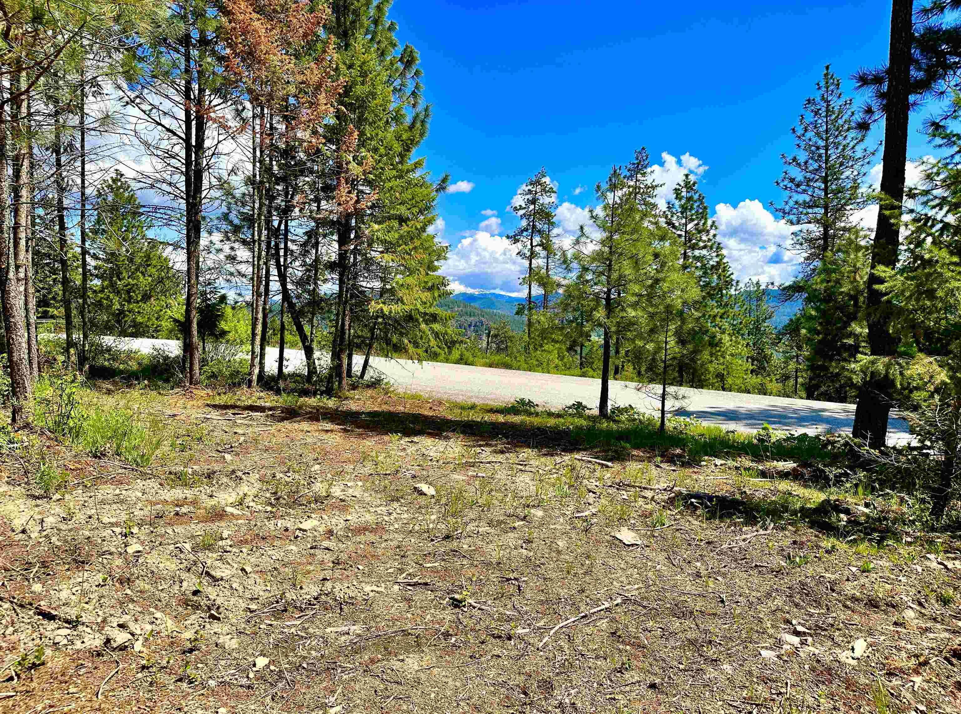 1649 Palmer Loop - Photo 38
