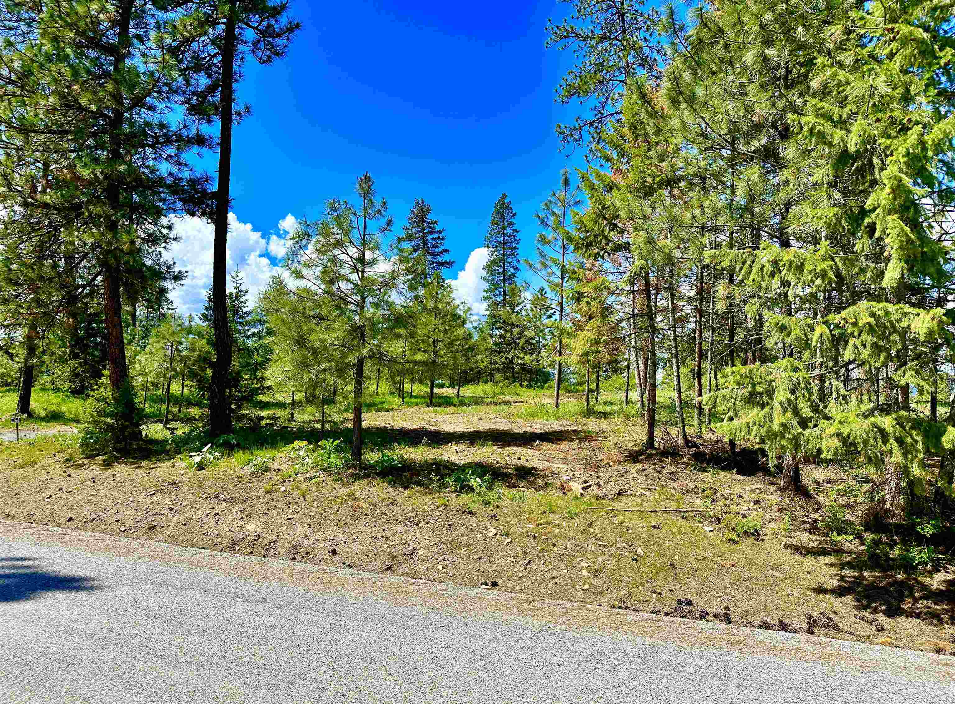 1649 Palmer Loop - Photo 40