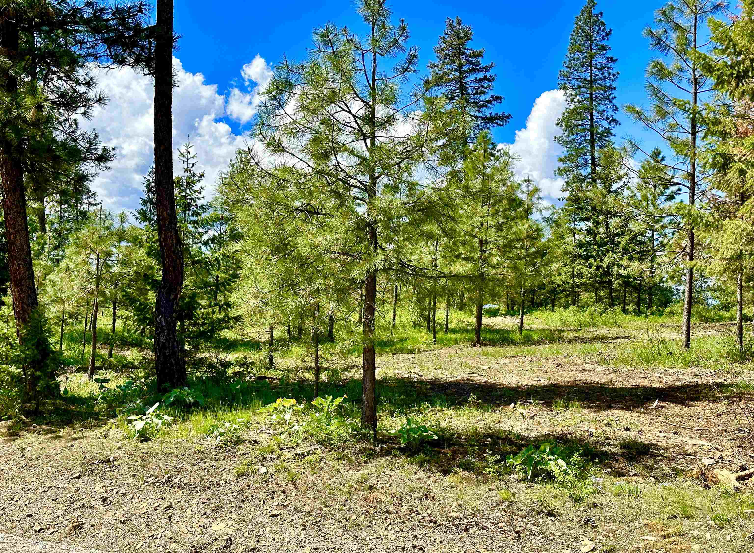1649 Palmer Loop - Photo 41