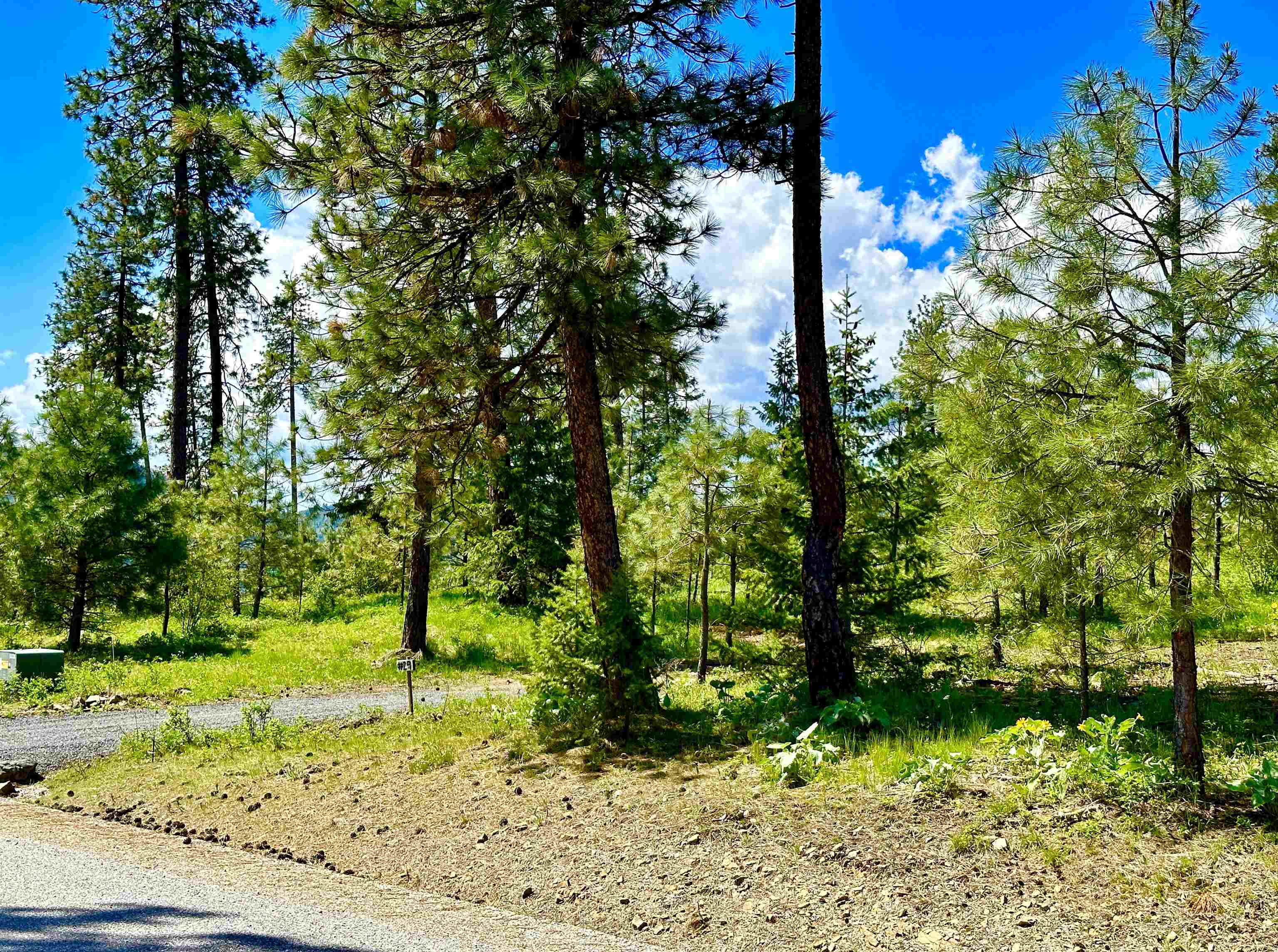 1649 Palmer Loop - Photo 42