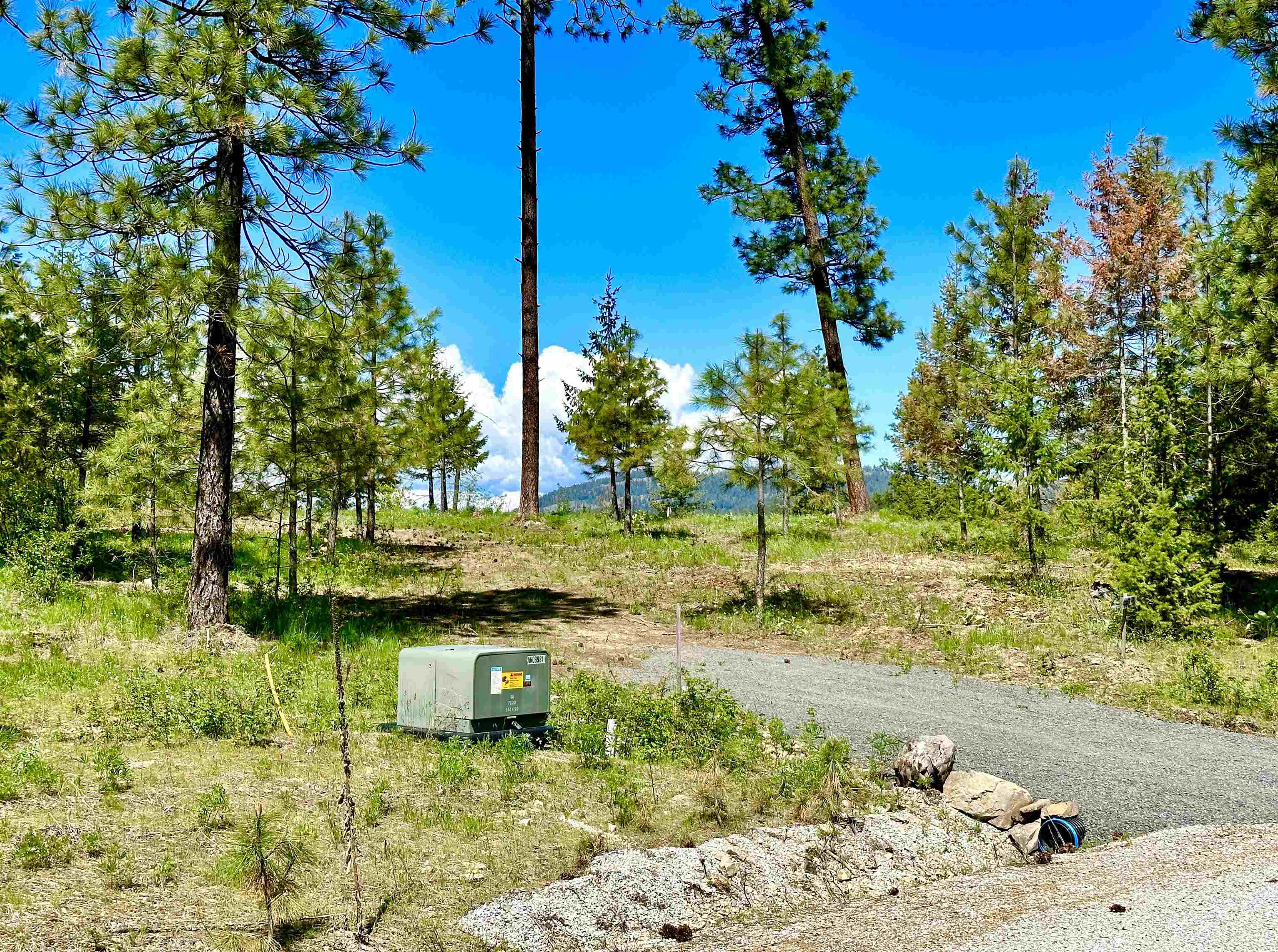 1649 Palmer Loop - Photo 44