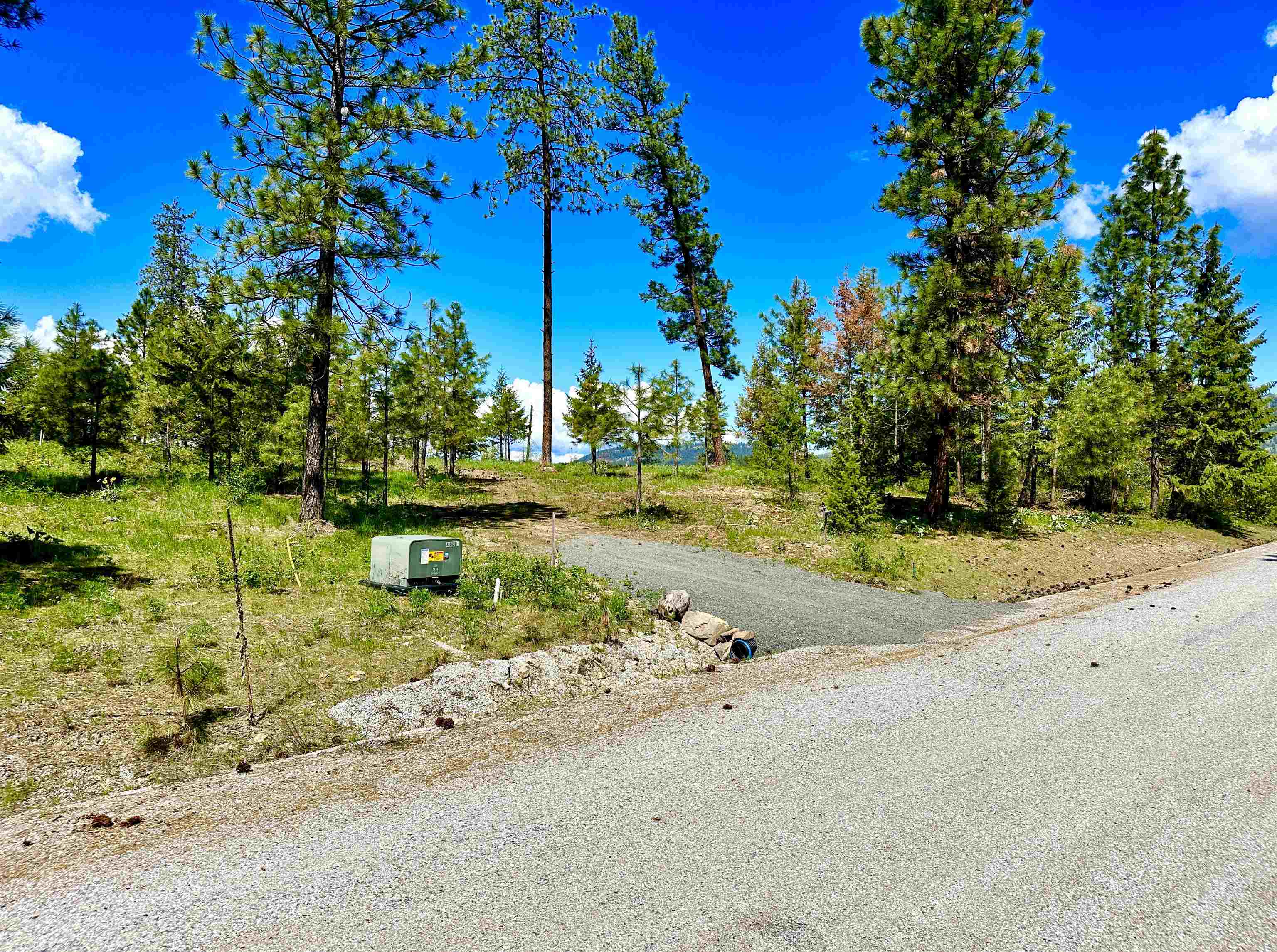 1649 Palmer Loop - Photo 45