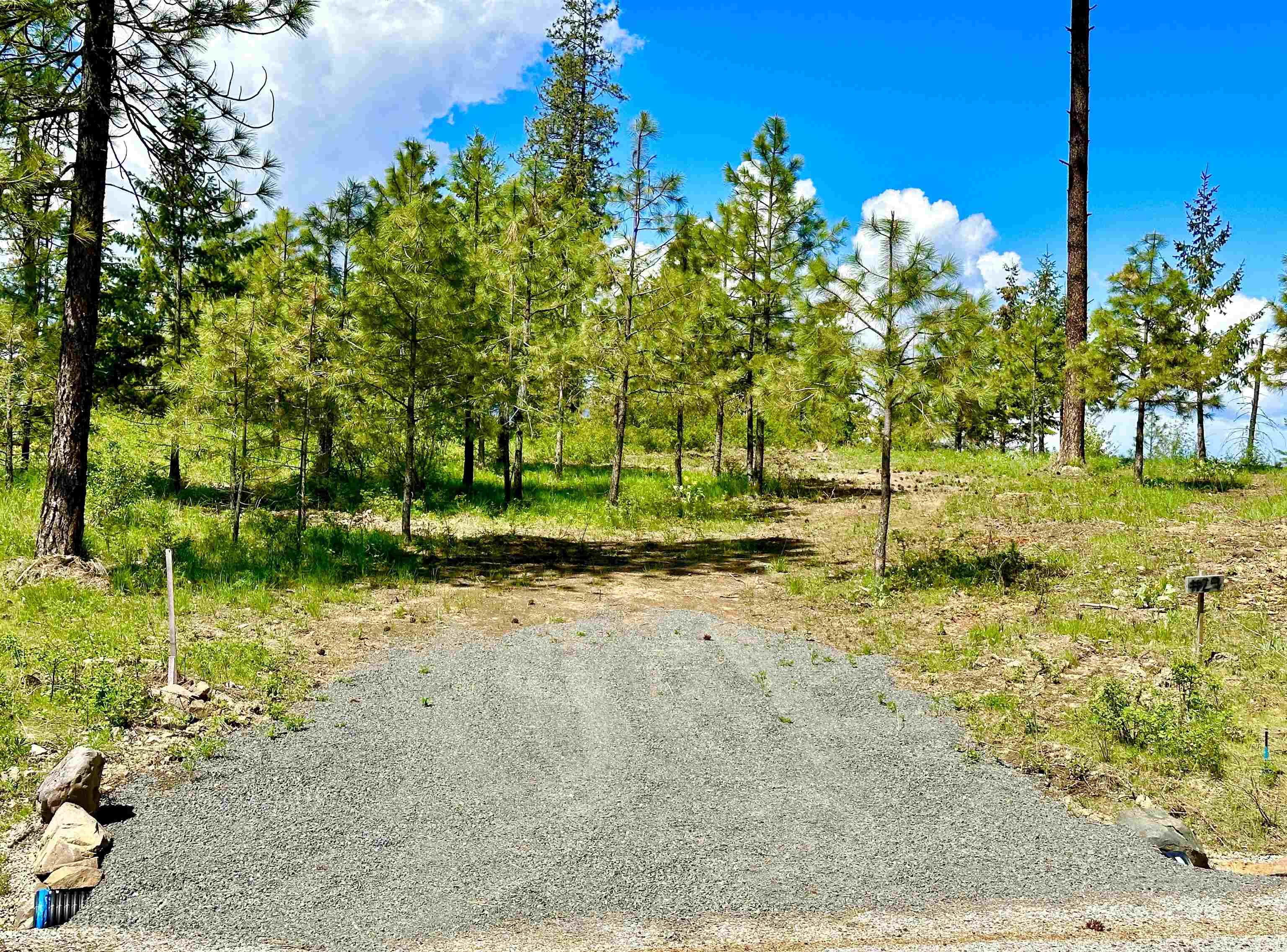 1649 Palmer Loop - Photo 47