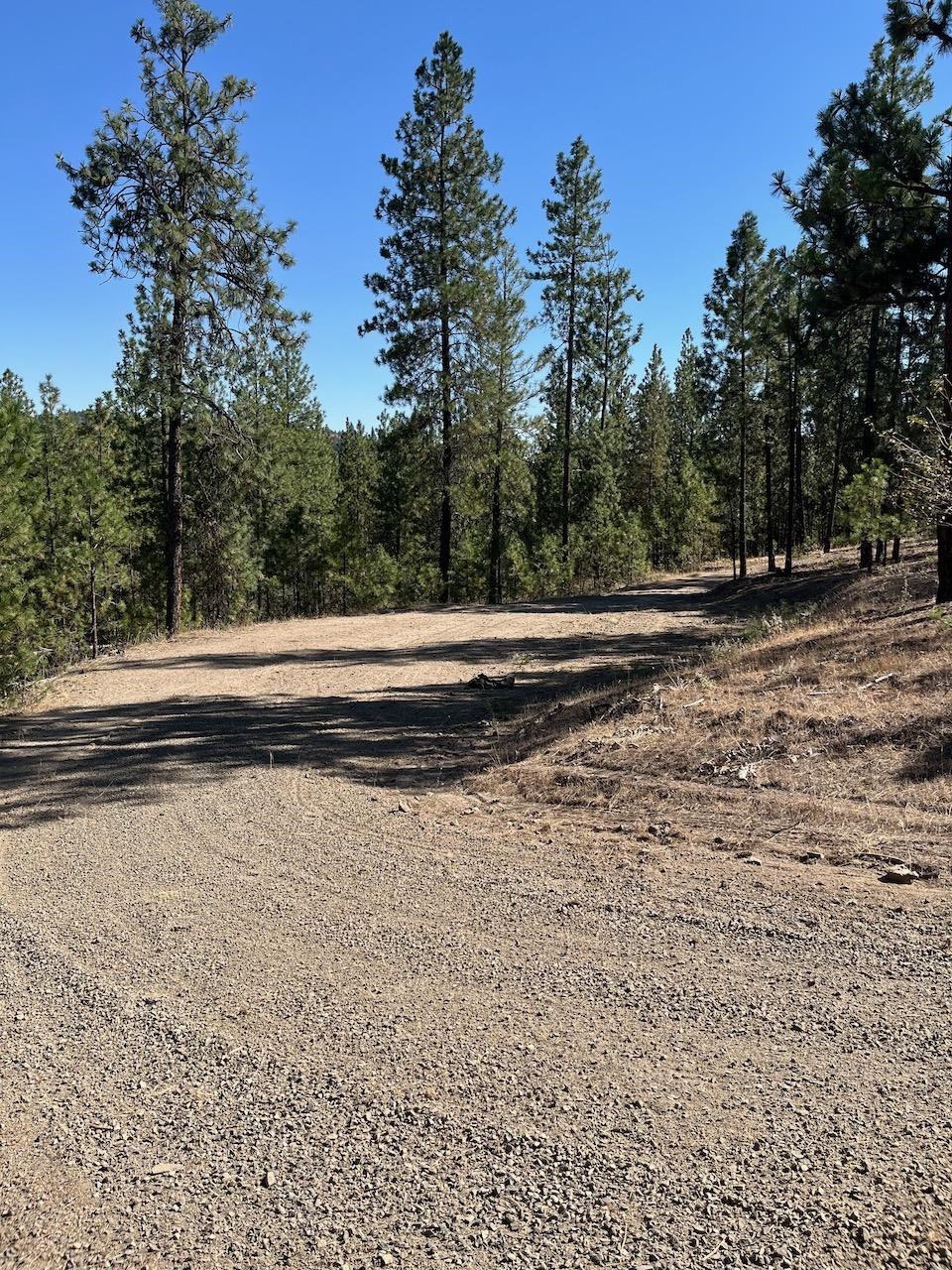 Lot 3 Top Notch Bob White Ln - Photo 8