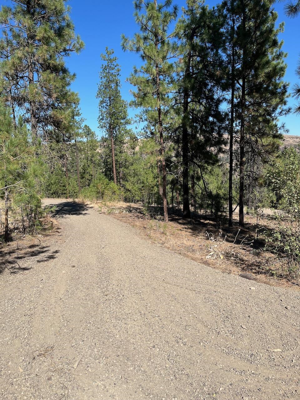 Lot 3 Top Notch Bob White Ln - Photo 9