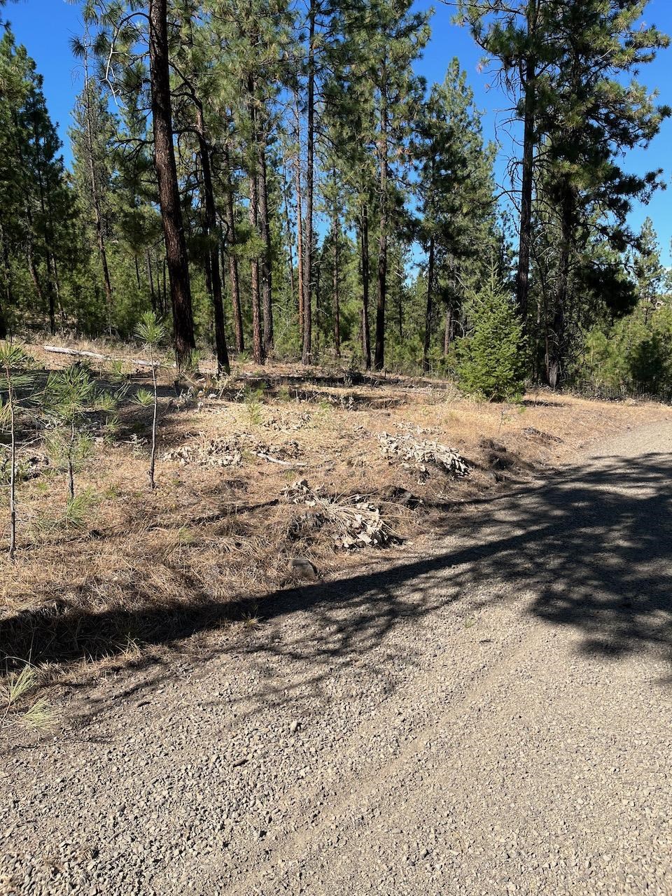 Lot 3 Top Notch Bob White Ln - Photo 10