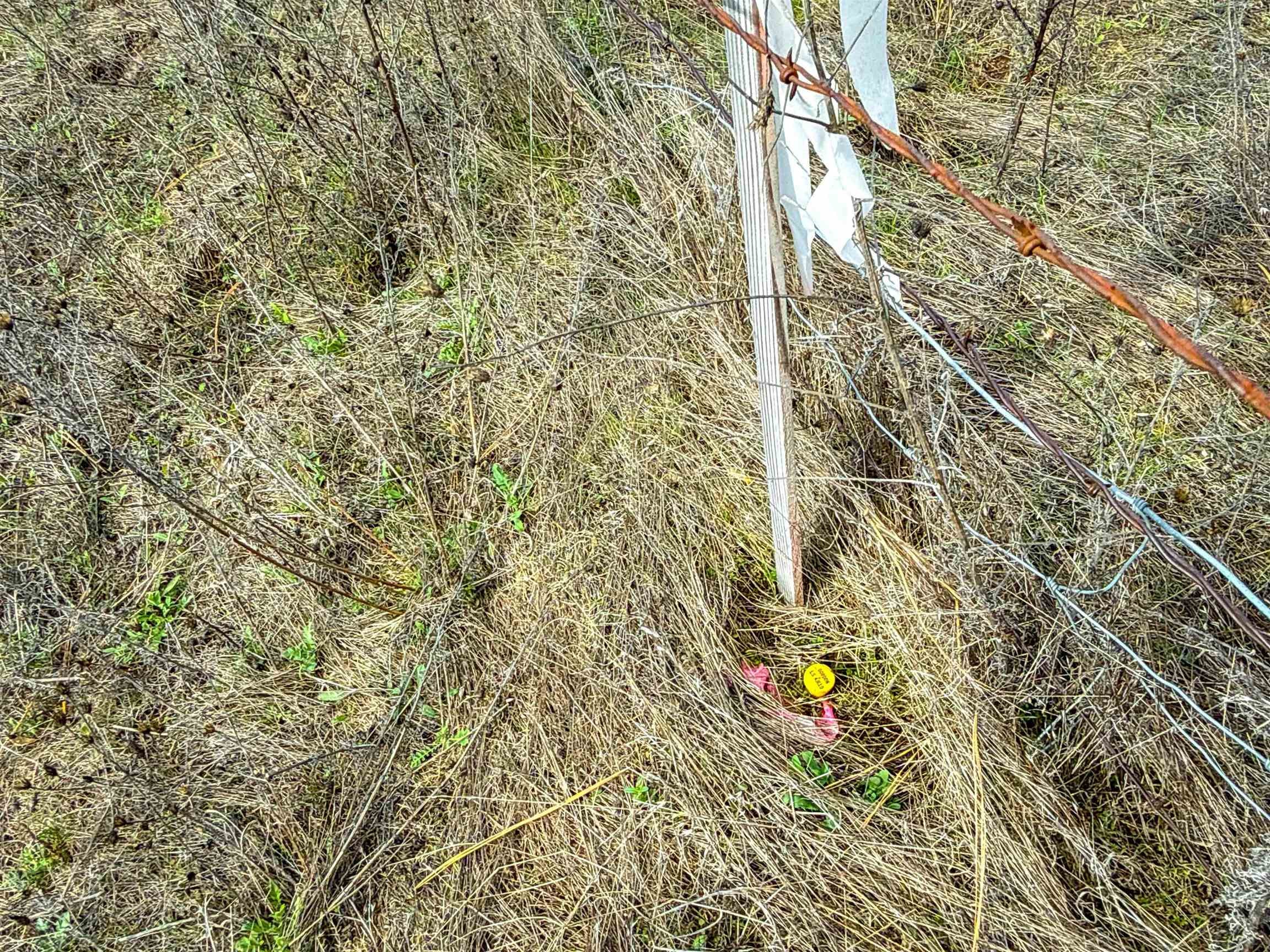 NKA Frissell Rd - Photo 16