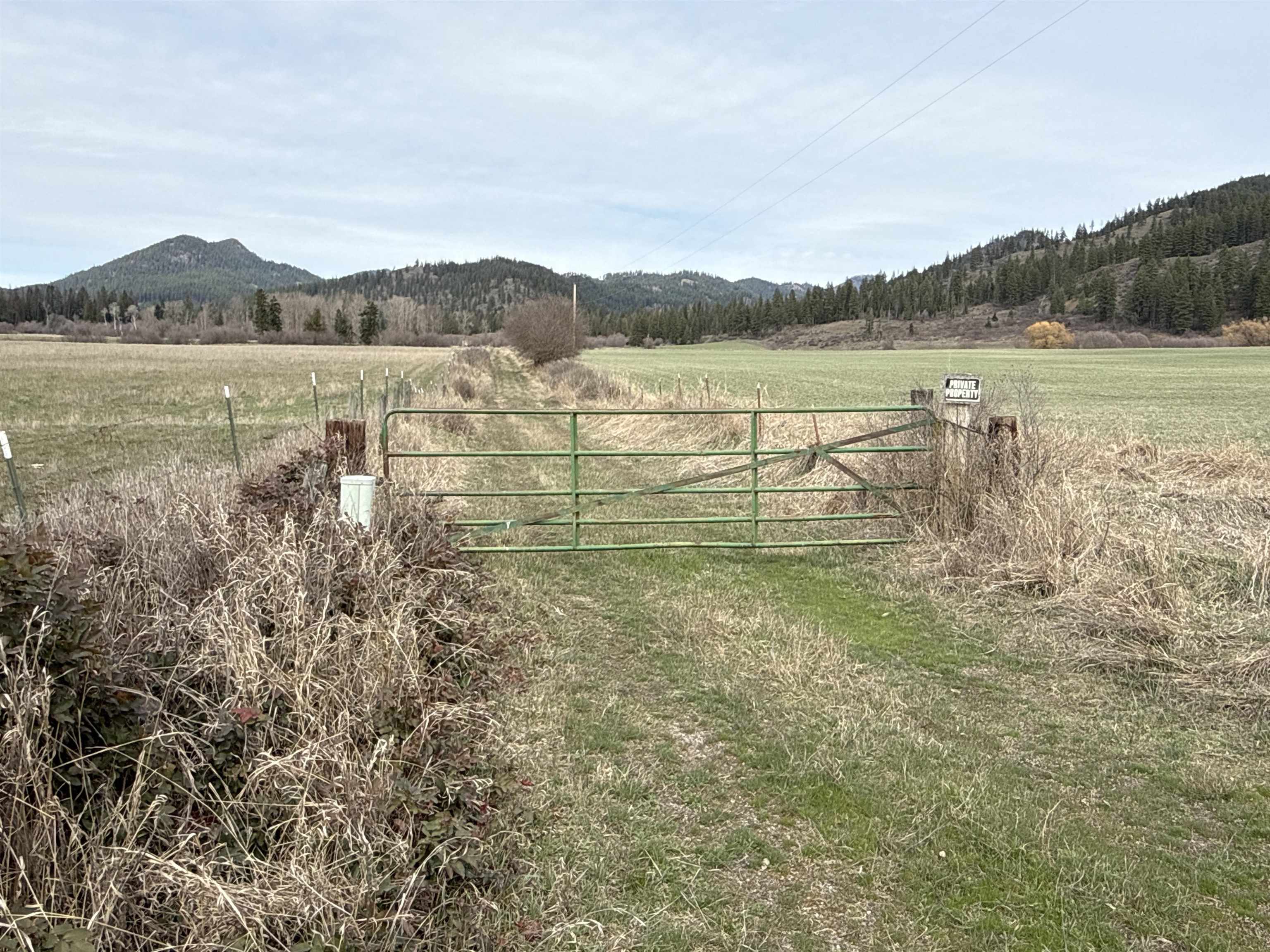 NKA Frissell Rd - Photo 19