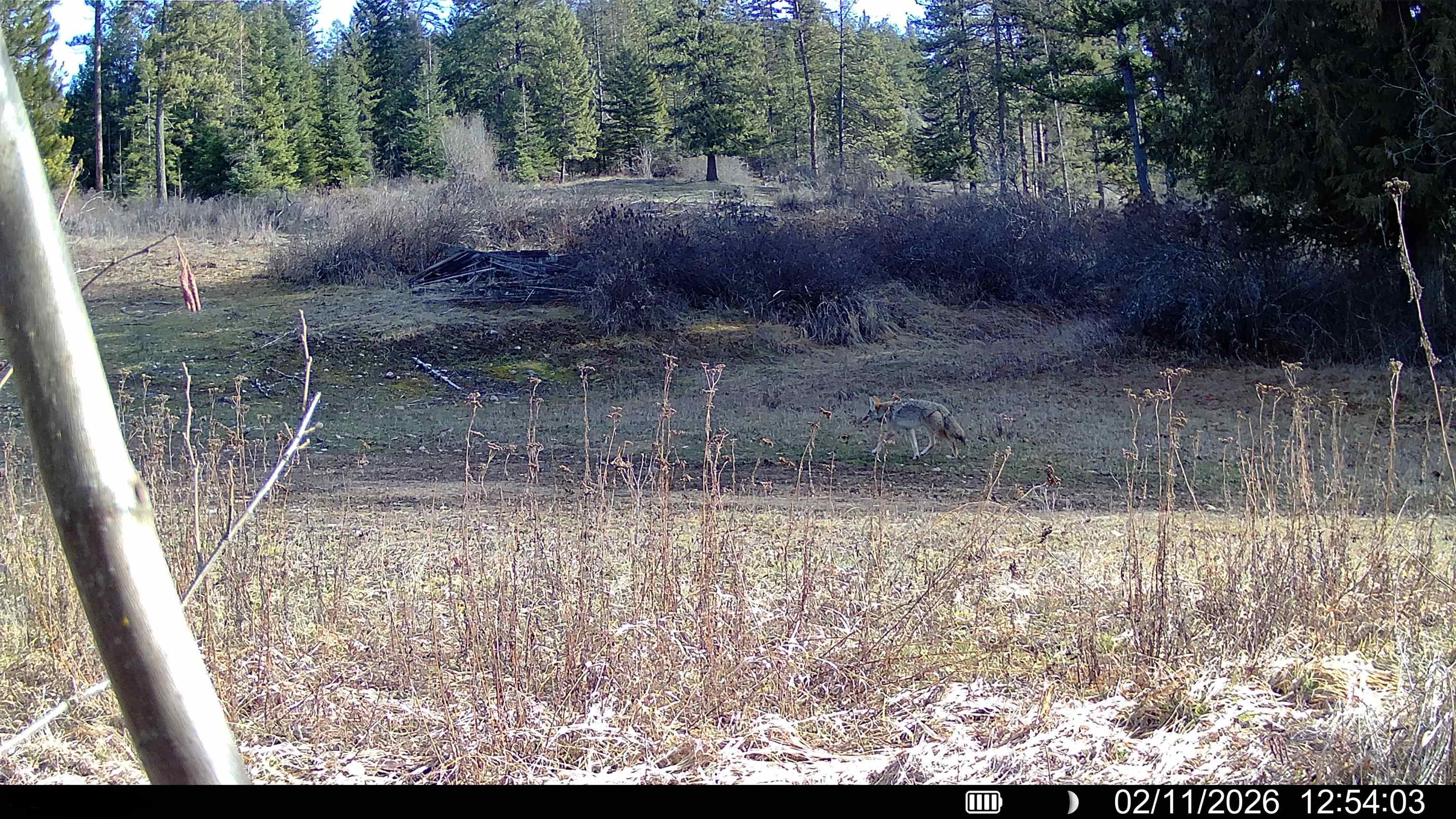 NKA Frissell Rd - Photo 31