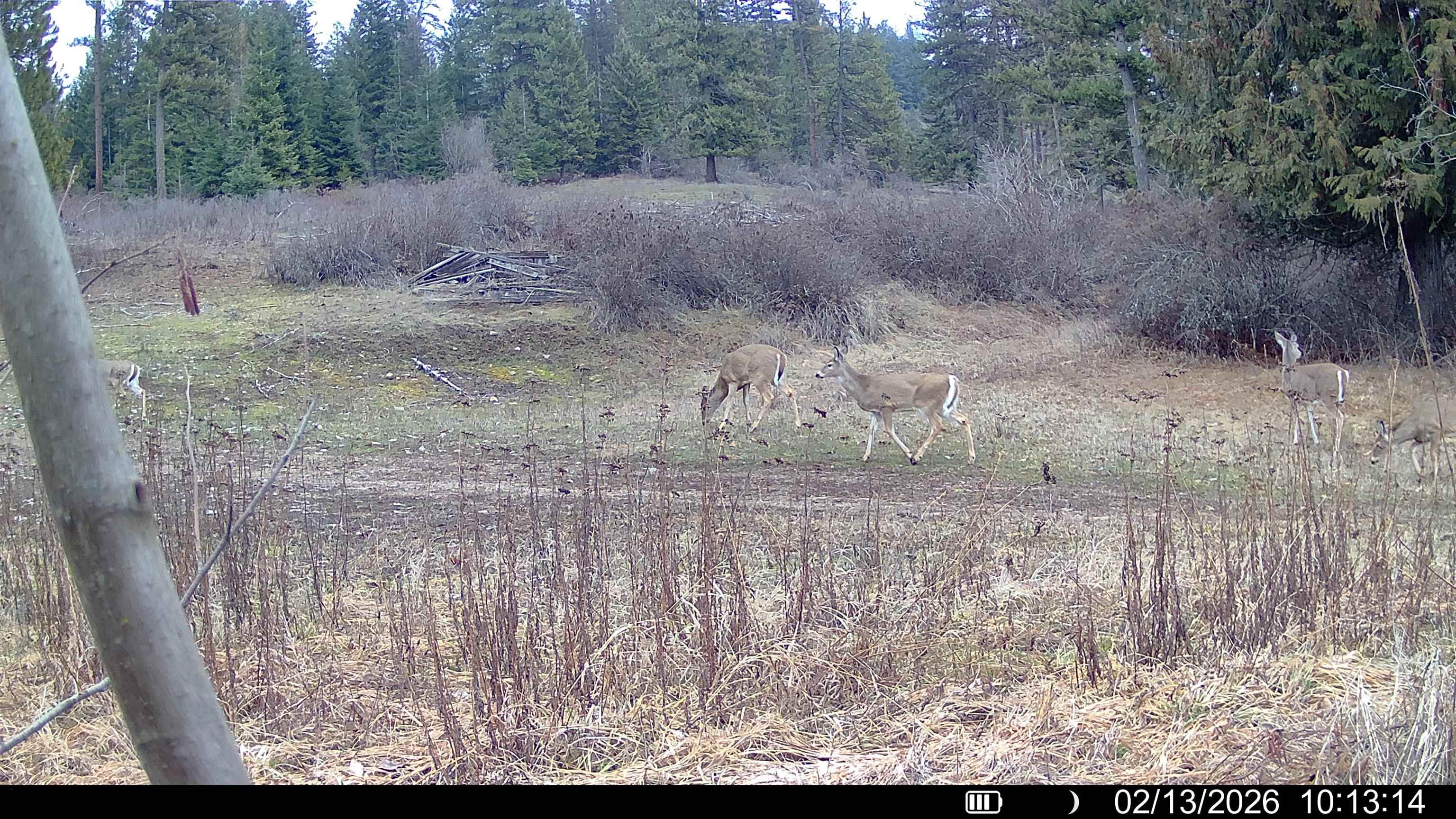 NKA Frissell Rd - Photo 32