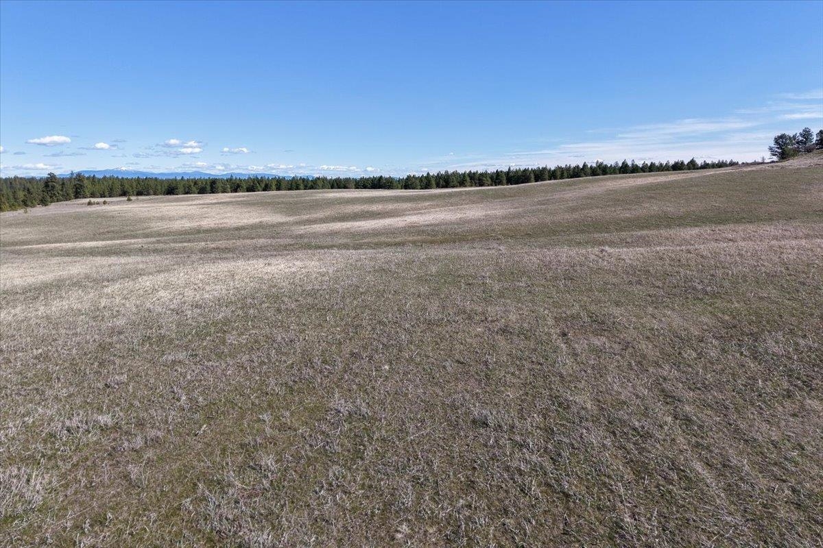 TBD N Hayford Rd - Photo 12