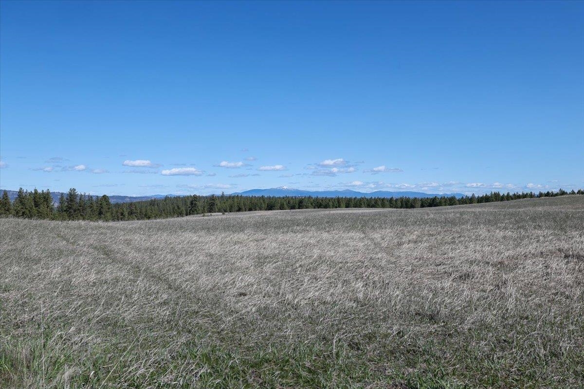 TBD N Hayford Rd - Photo 5