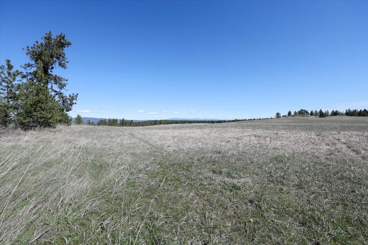 TBD N Hayford Rd - Photo 6