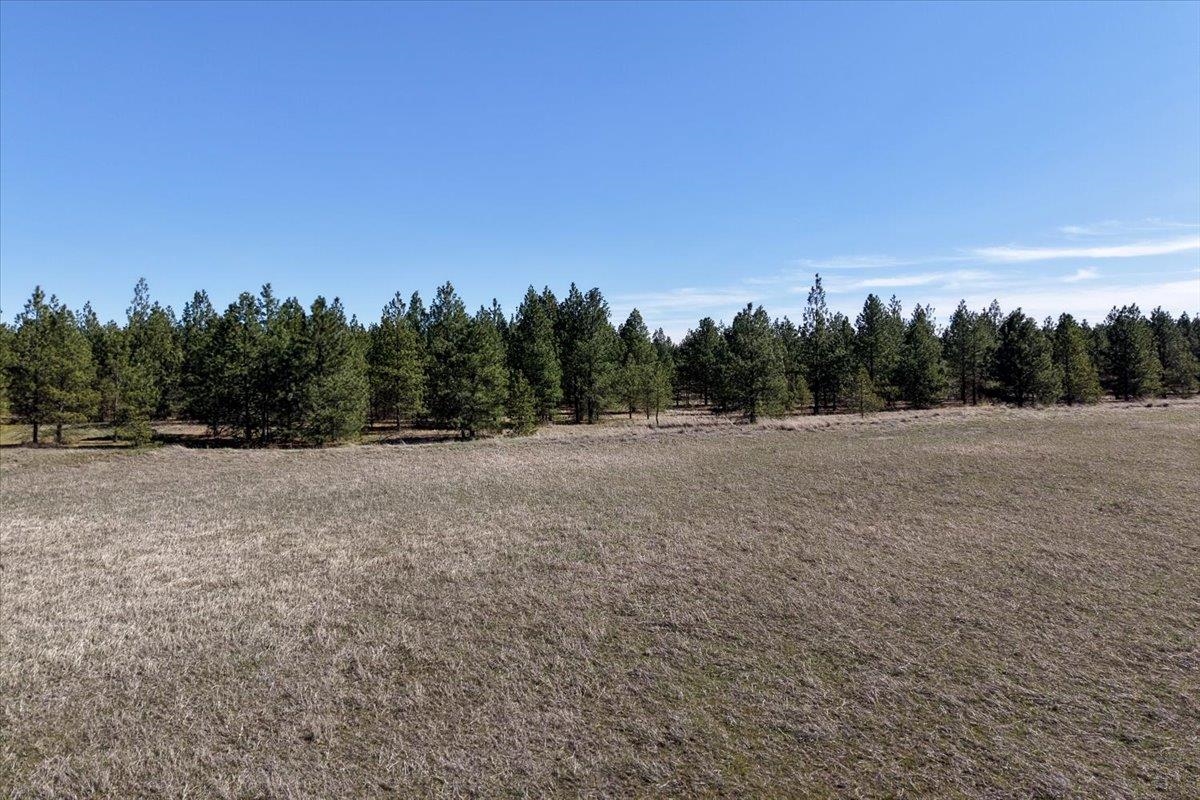 TBD N Hayford Rd - Photo 8