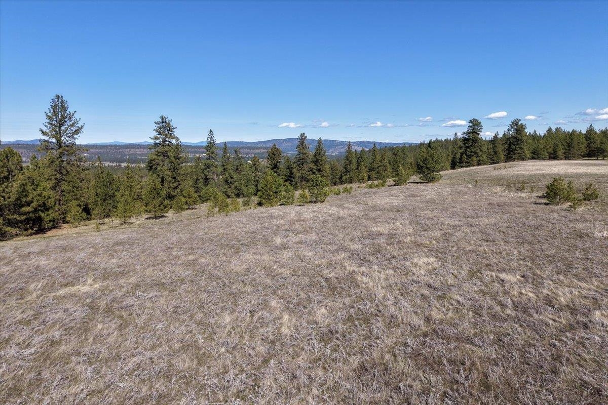 TBD N Hayford Rd - Photo 10