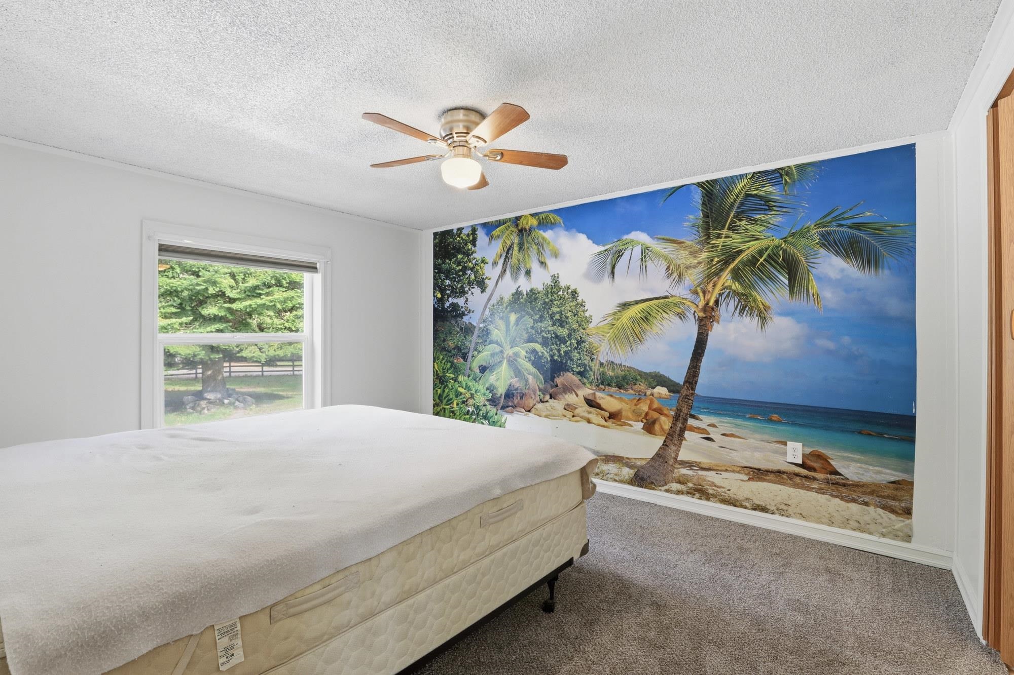 239 Ohana Rd - Photo 14