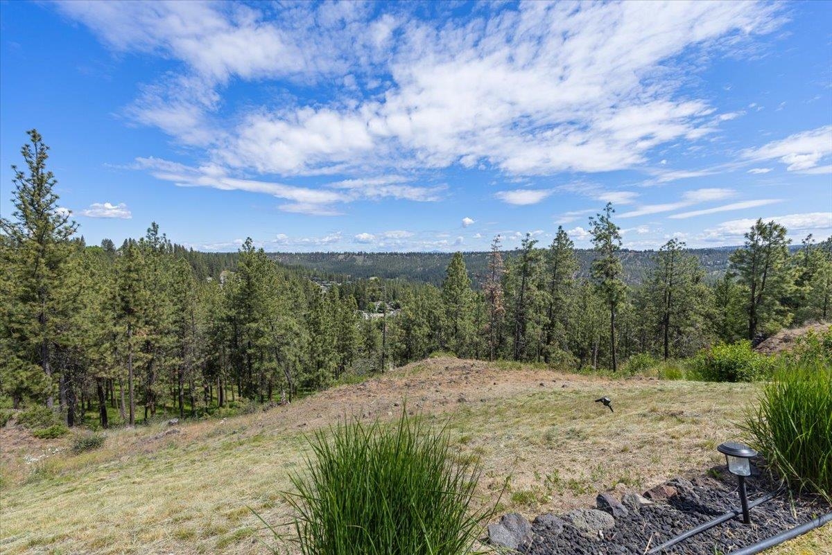 696 W Basalt Ridge Dr - Photo 41