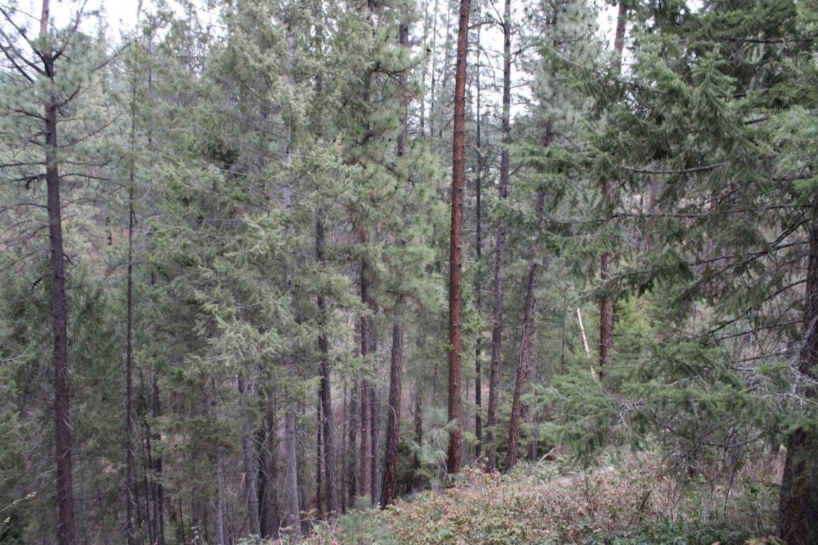 1226 S Aspen Ridge Rd - Photo 35