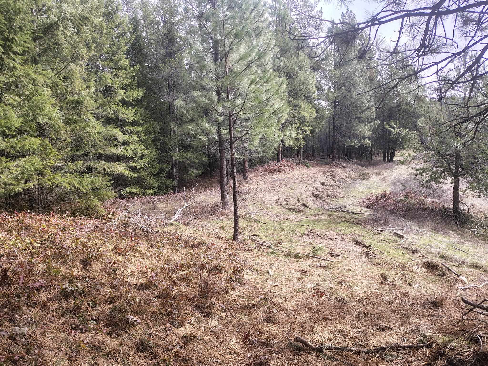 4151 H Jepsen Rd - Photo 20