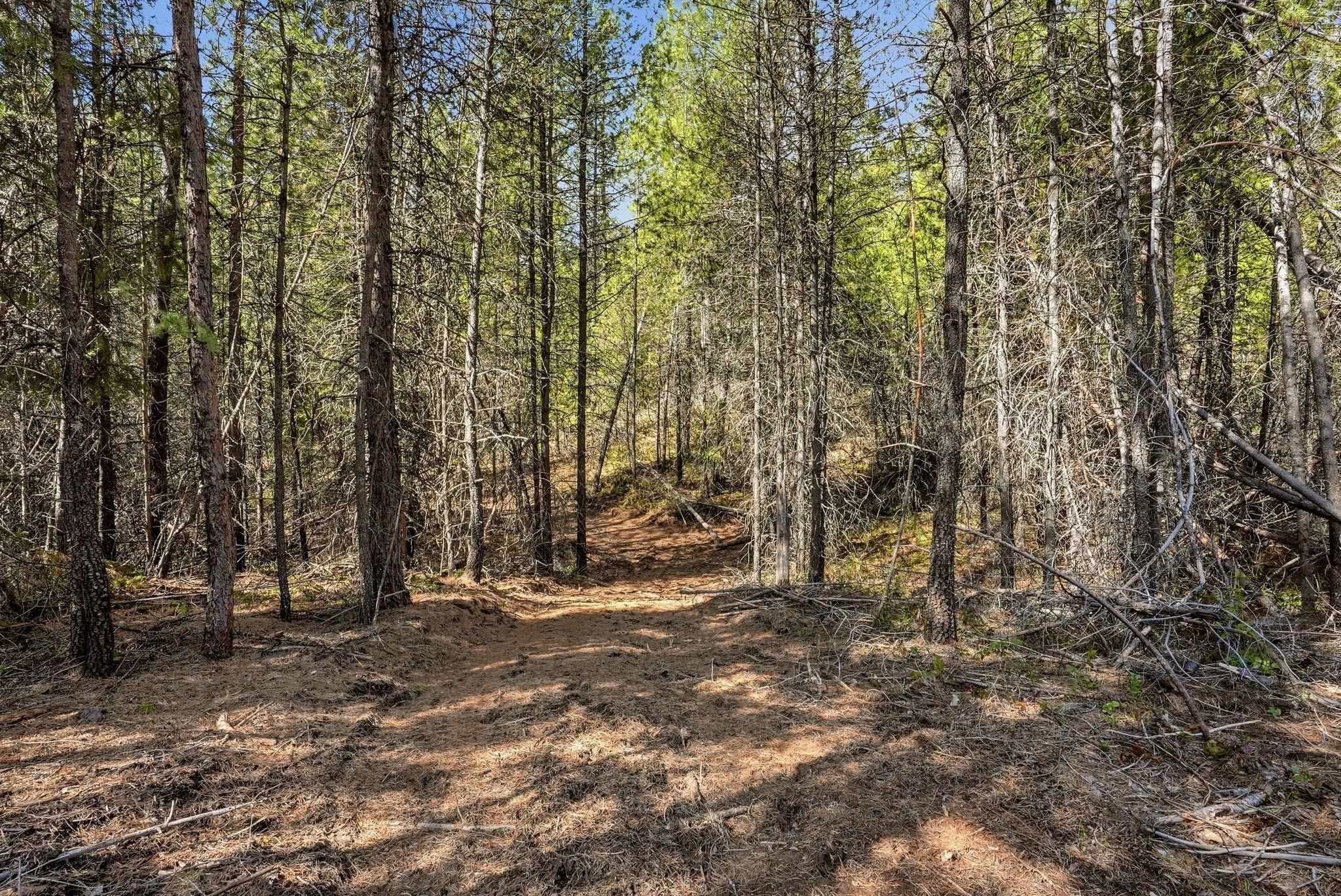 4151 H Jepsen Rd - Photo 7
