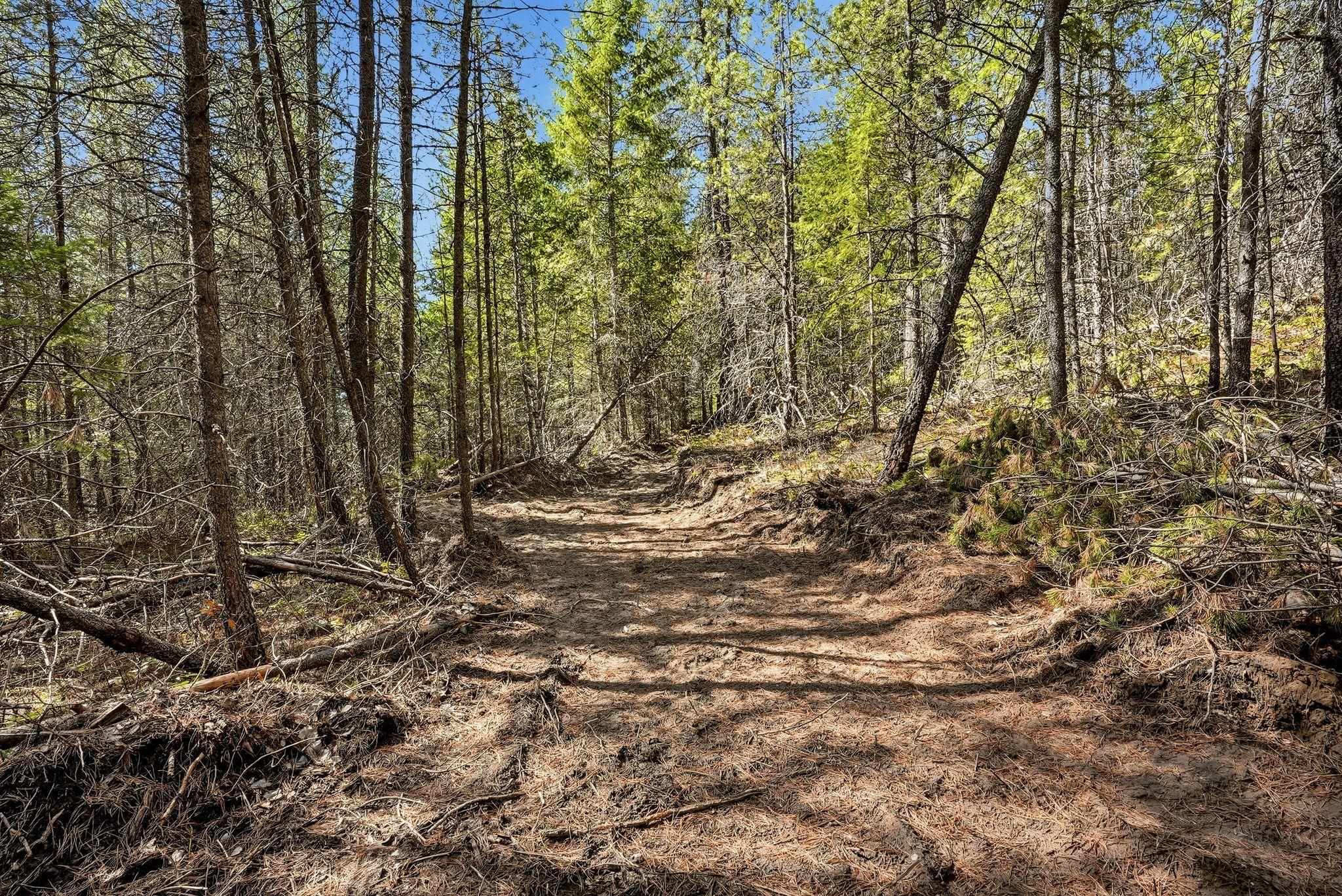 4151 H Jepsen Rd - Photo 8
