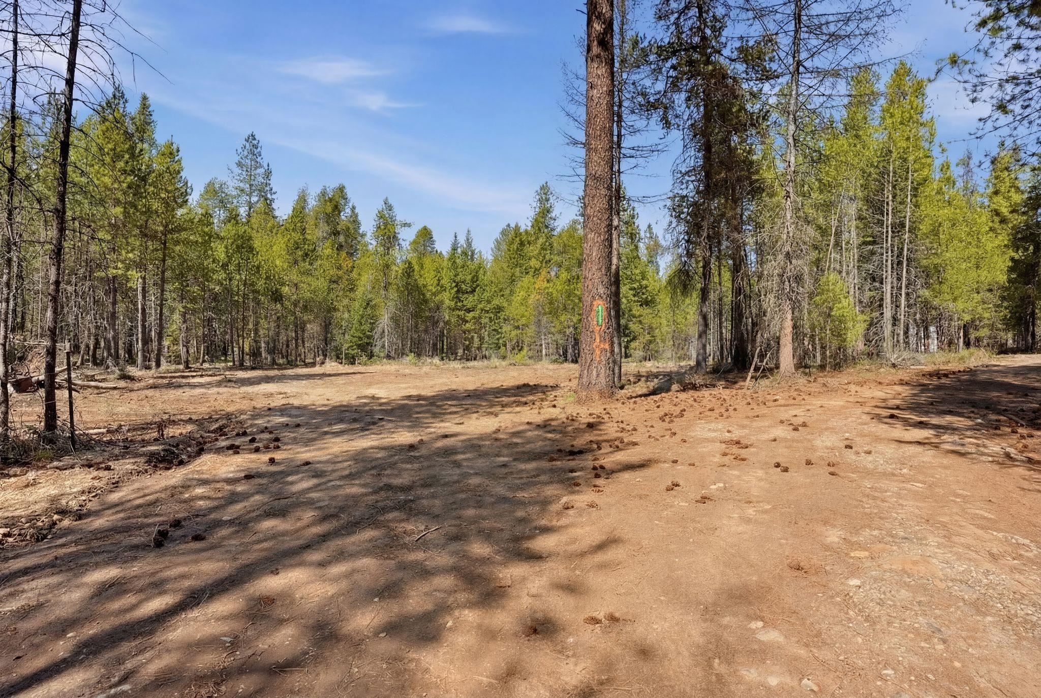 4151 H Jepsen Rd - Photo 10