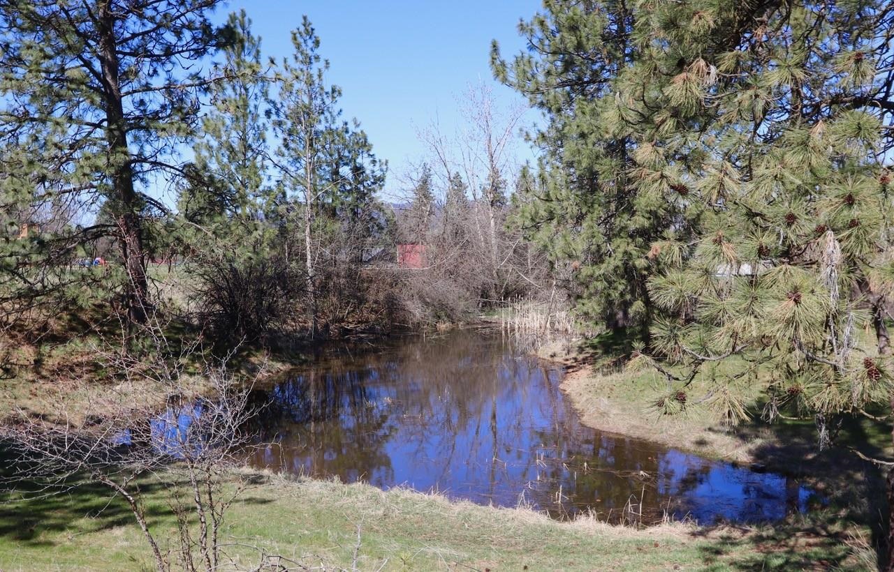 12315 E Connor Rd - Photo 35
