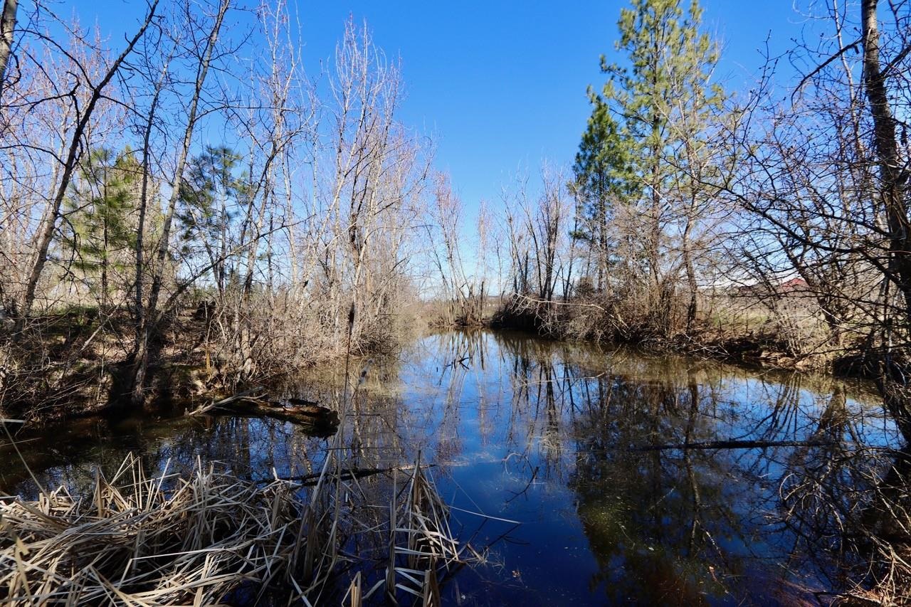 12315 E Connor Rd - Photo 36