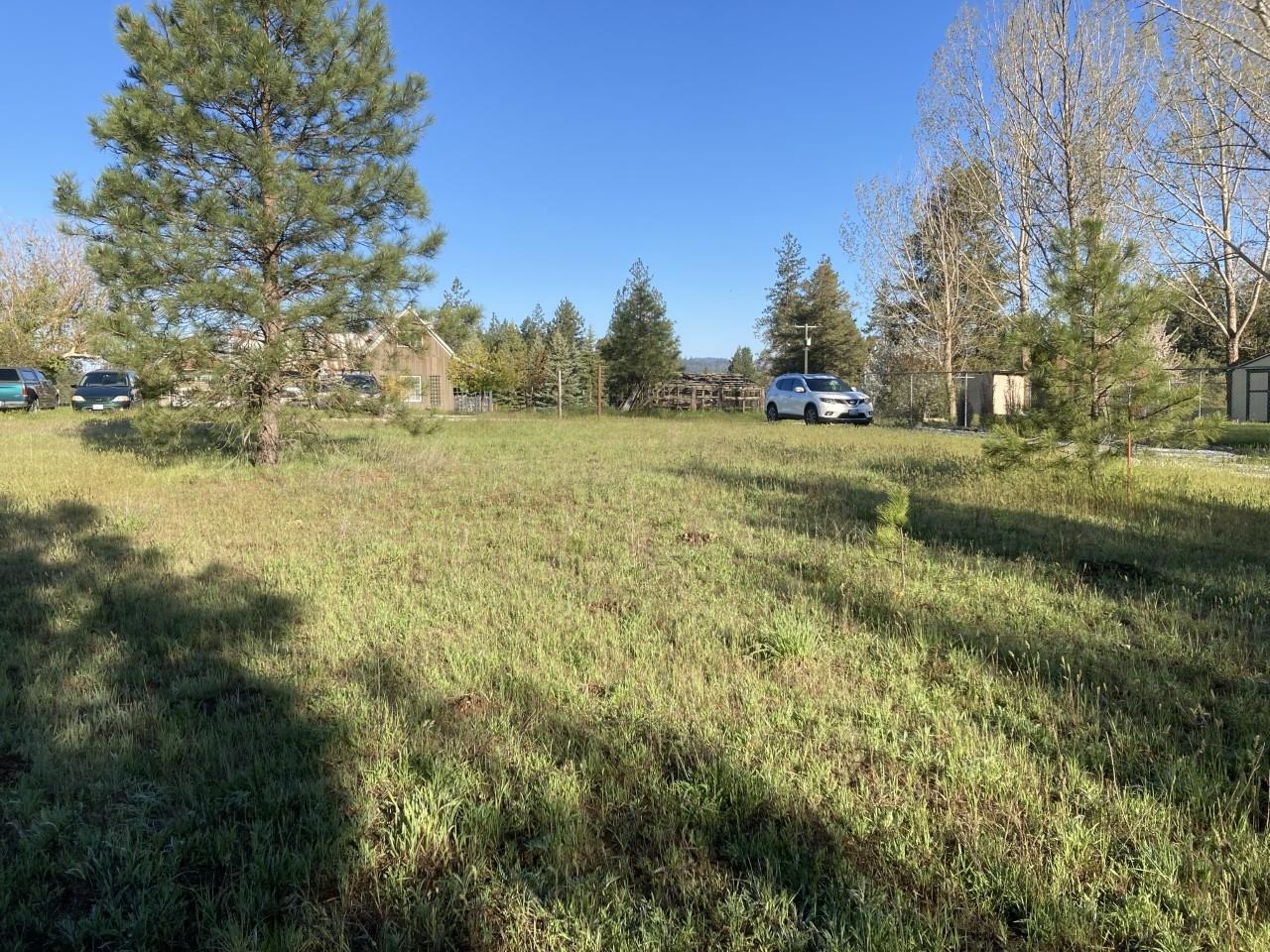 4006 B Hwy 231 - Photo 5