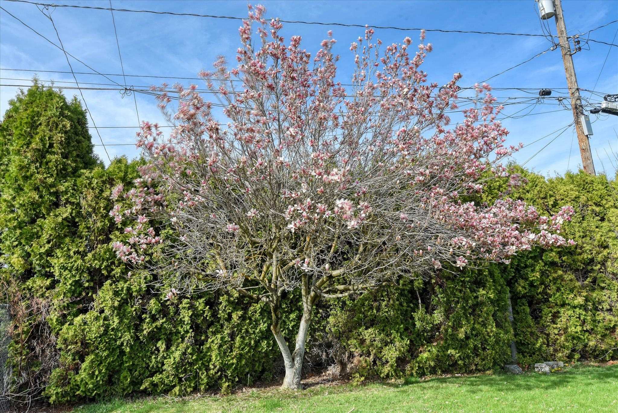 2016 W Courtland Ave - Photo 42