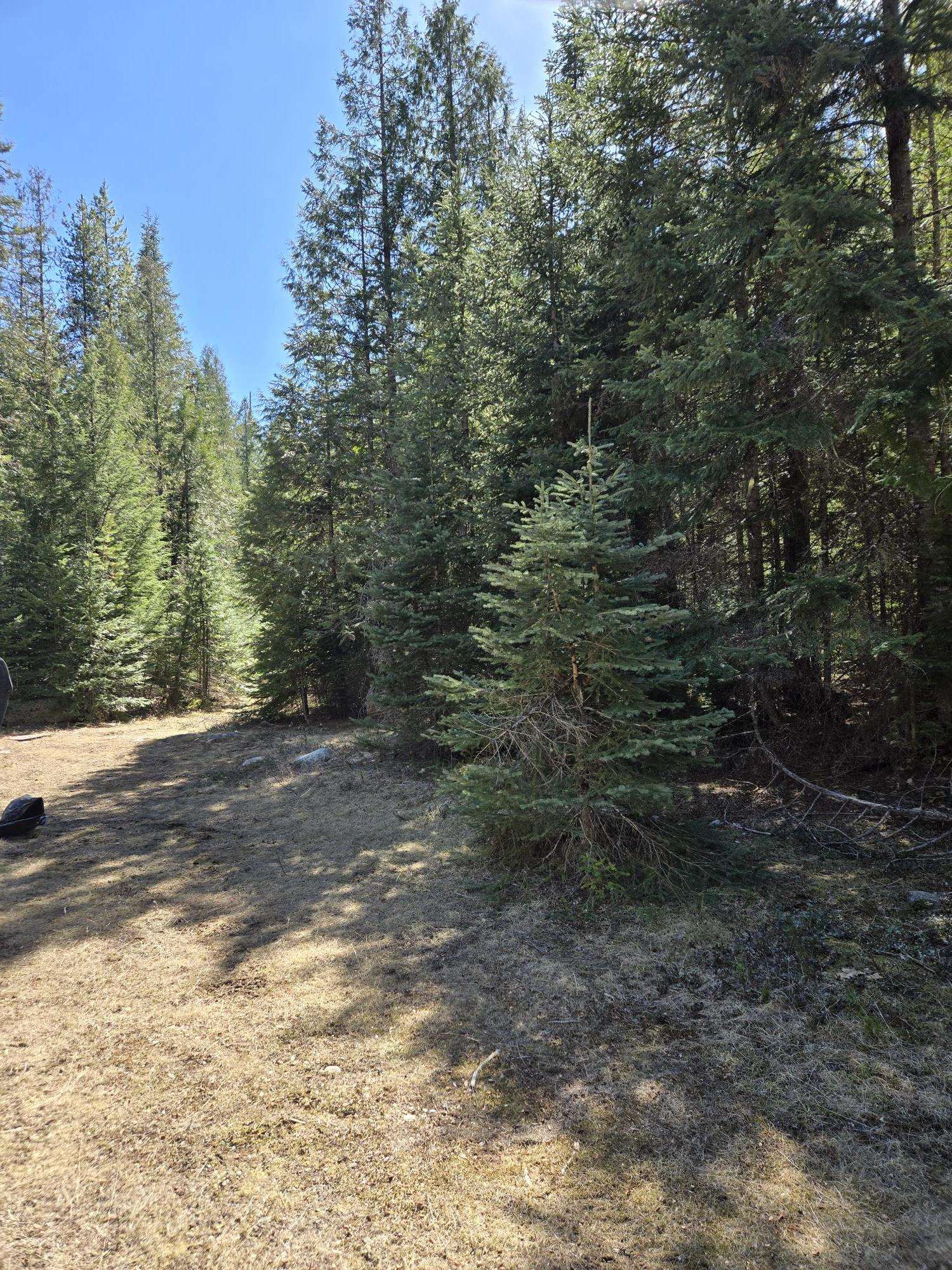 192 Meadowlark Ln - Photo 2