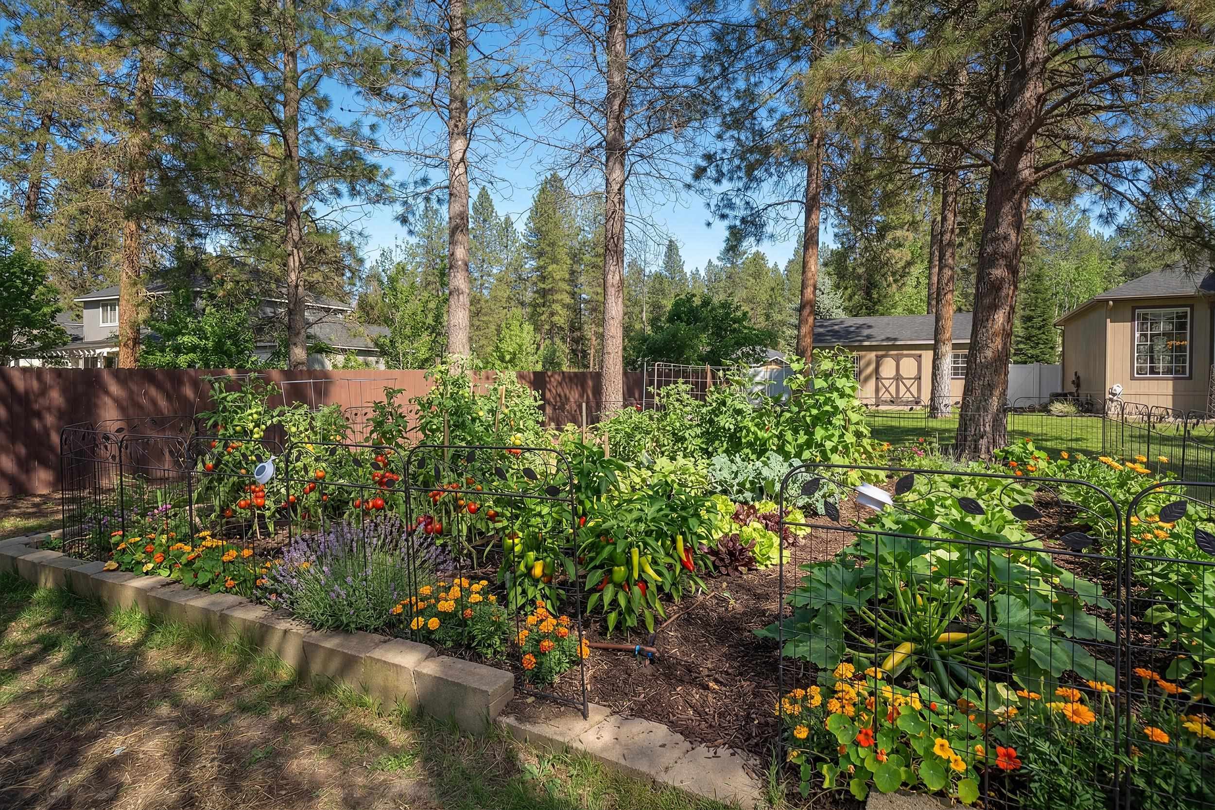 17615 N Kimberly Rd - Photo 10