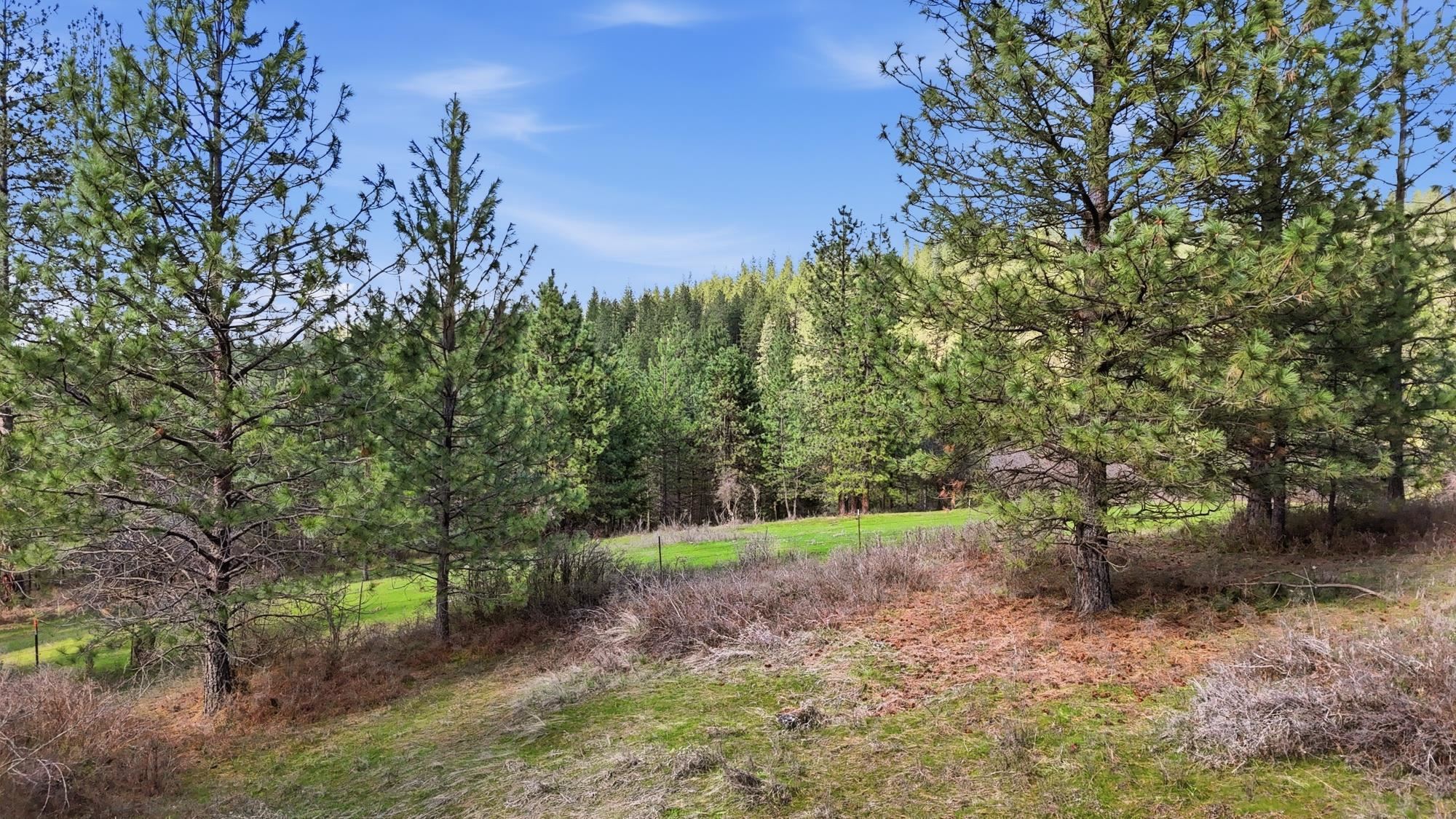 151XX E Cooper Rd - Photo 1