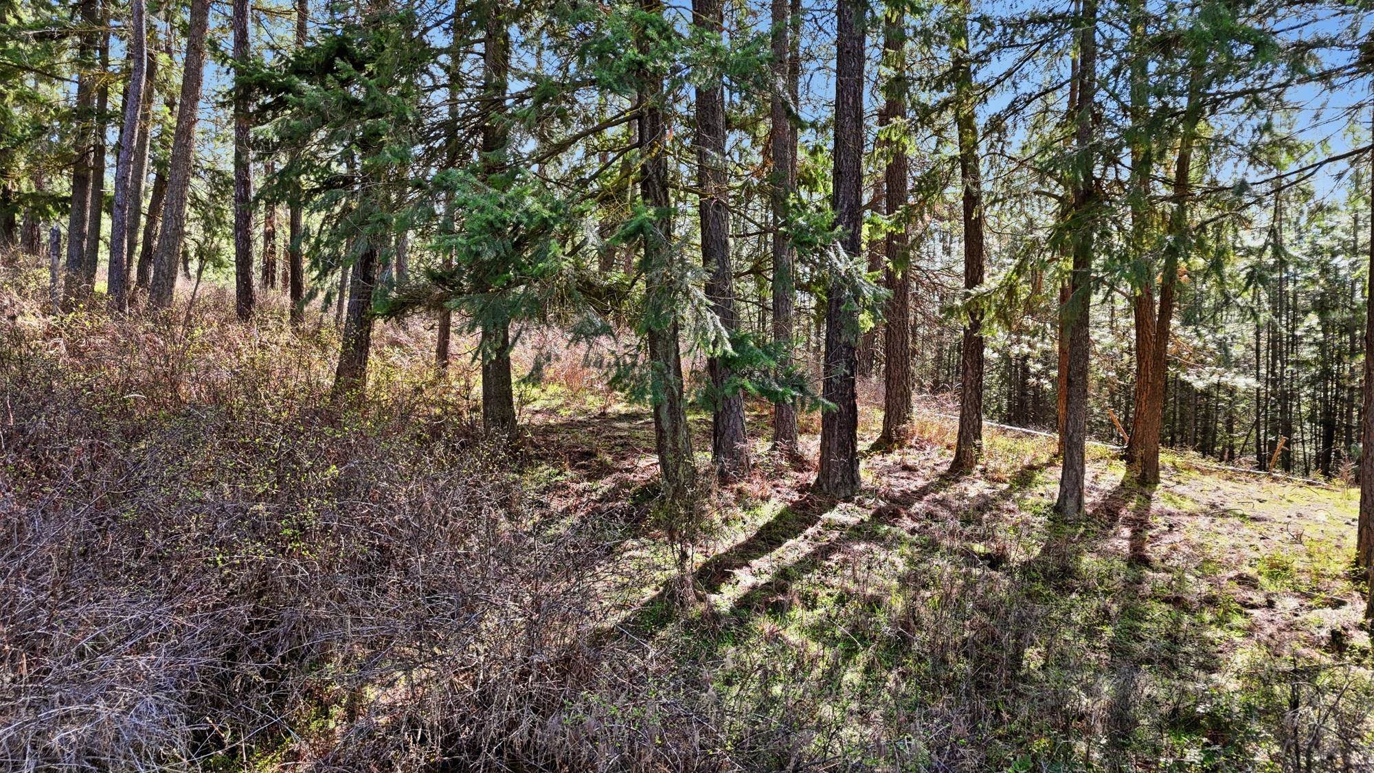151XX E Cooper Rd - Photo 7