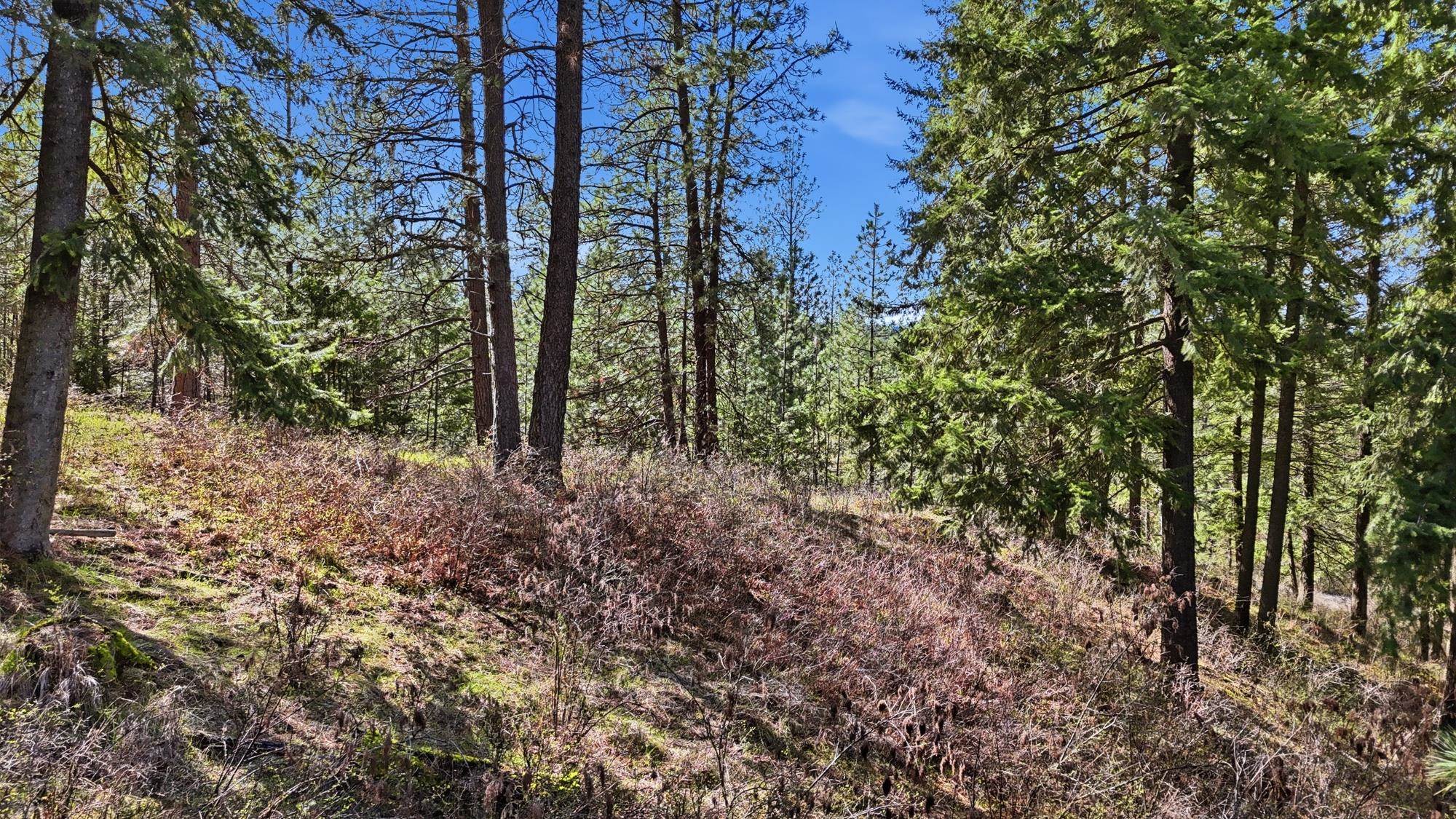 151XX E Cooper Rd - Photo 8