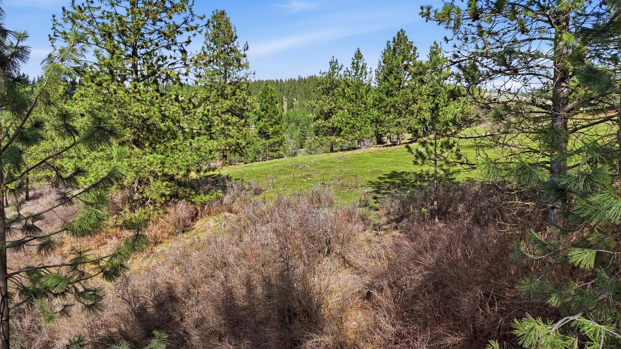 151XX E Cooper Rd - Photo 9