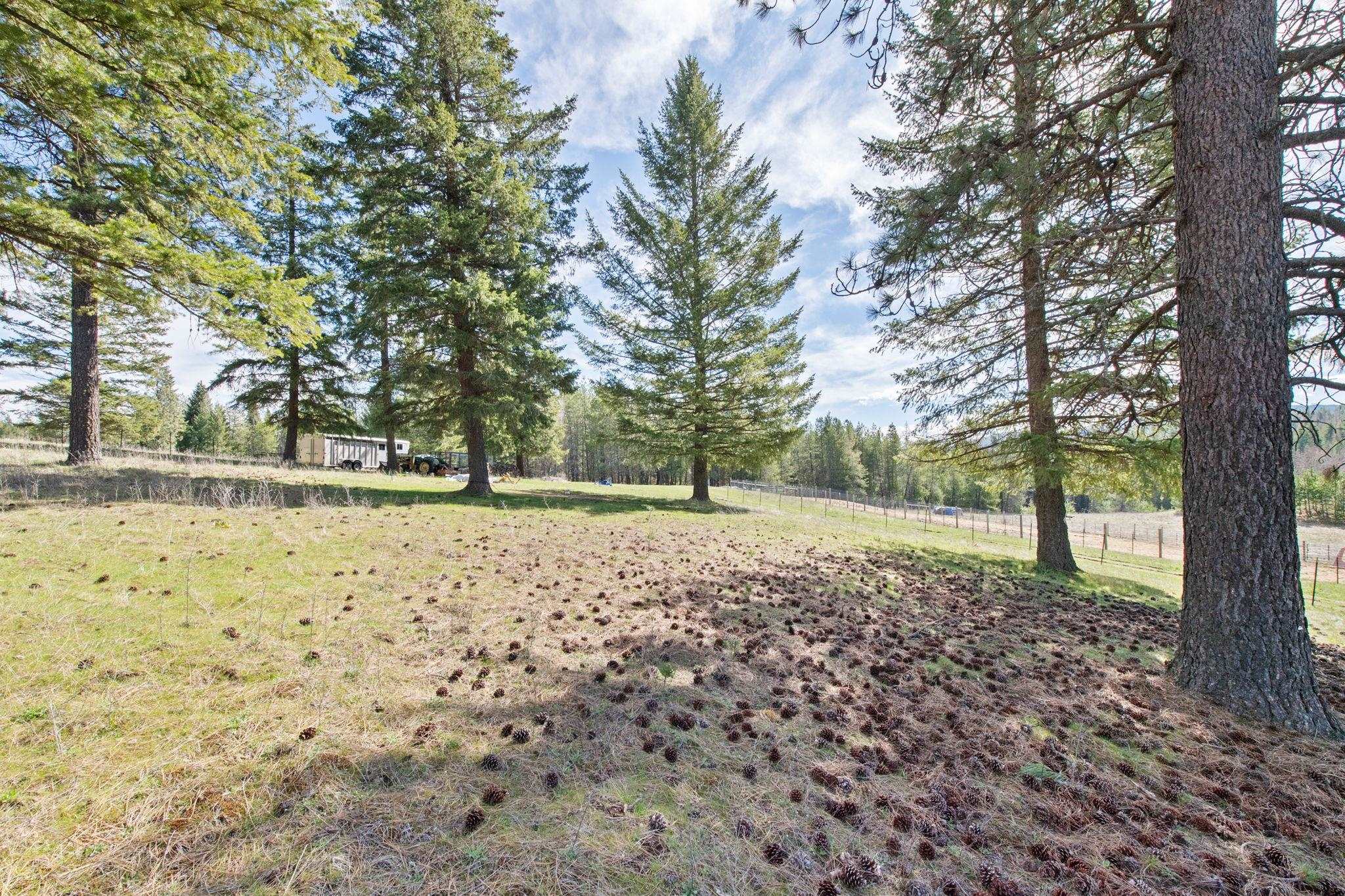 7333 Spring Valley Rd - Photo 5