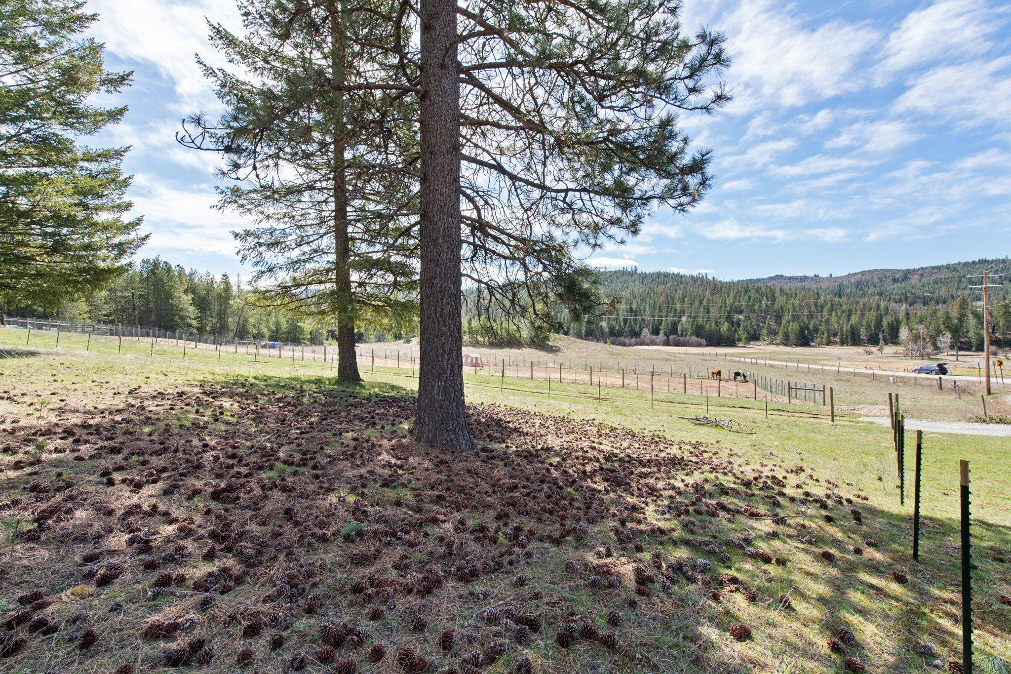 7333 Spring Valley Rd - Photo 7