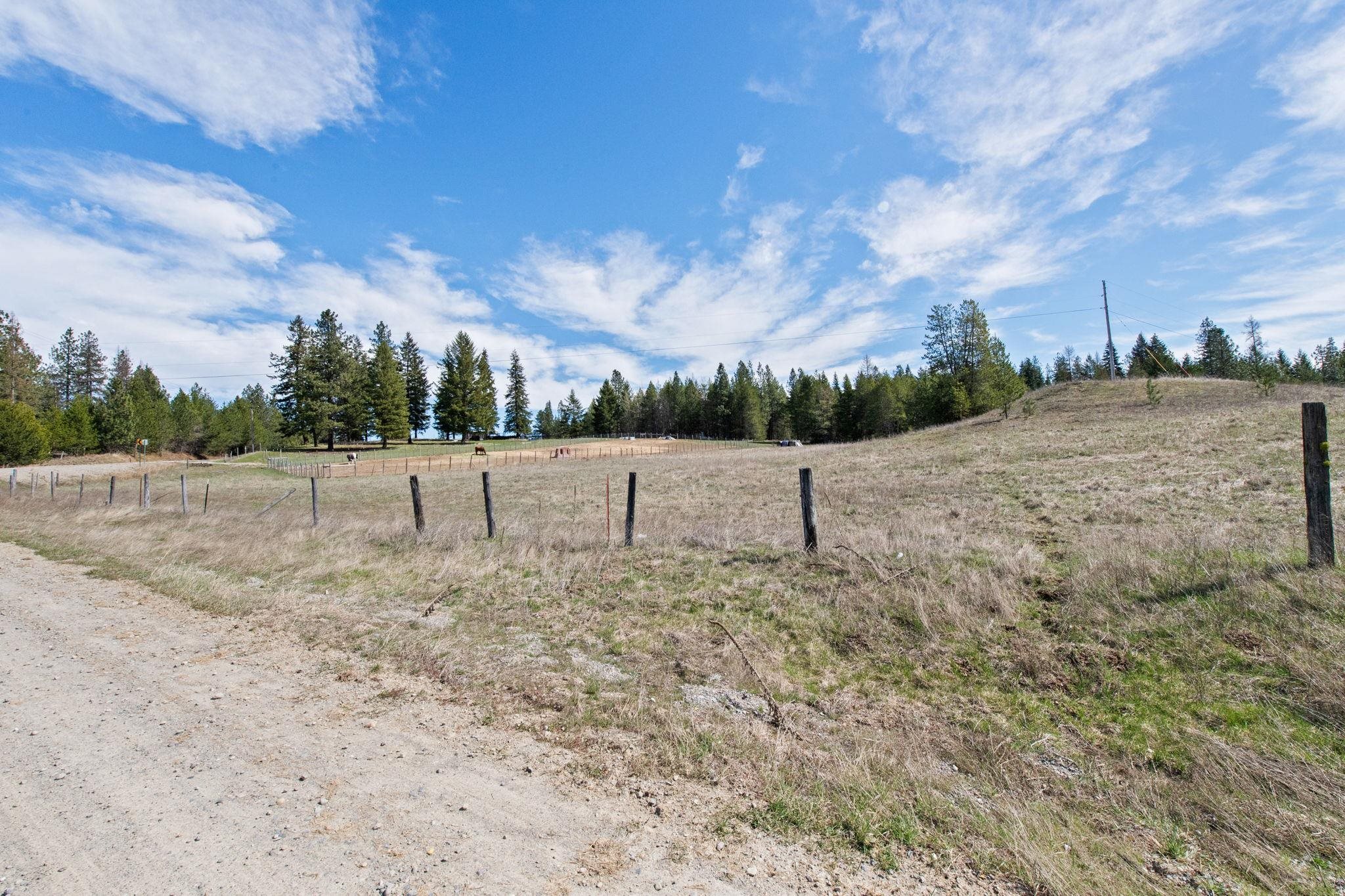 7333 Spring Valley Rd - Photo 9