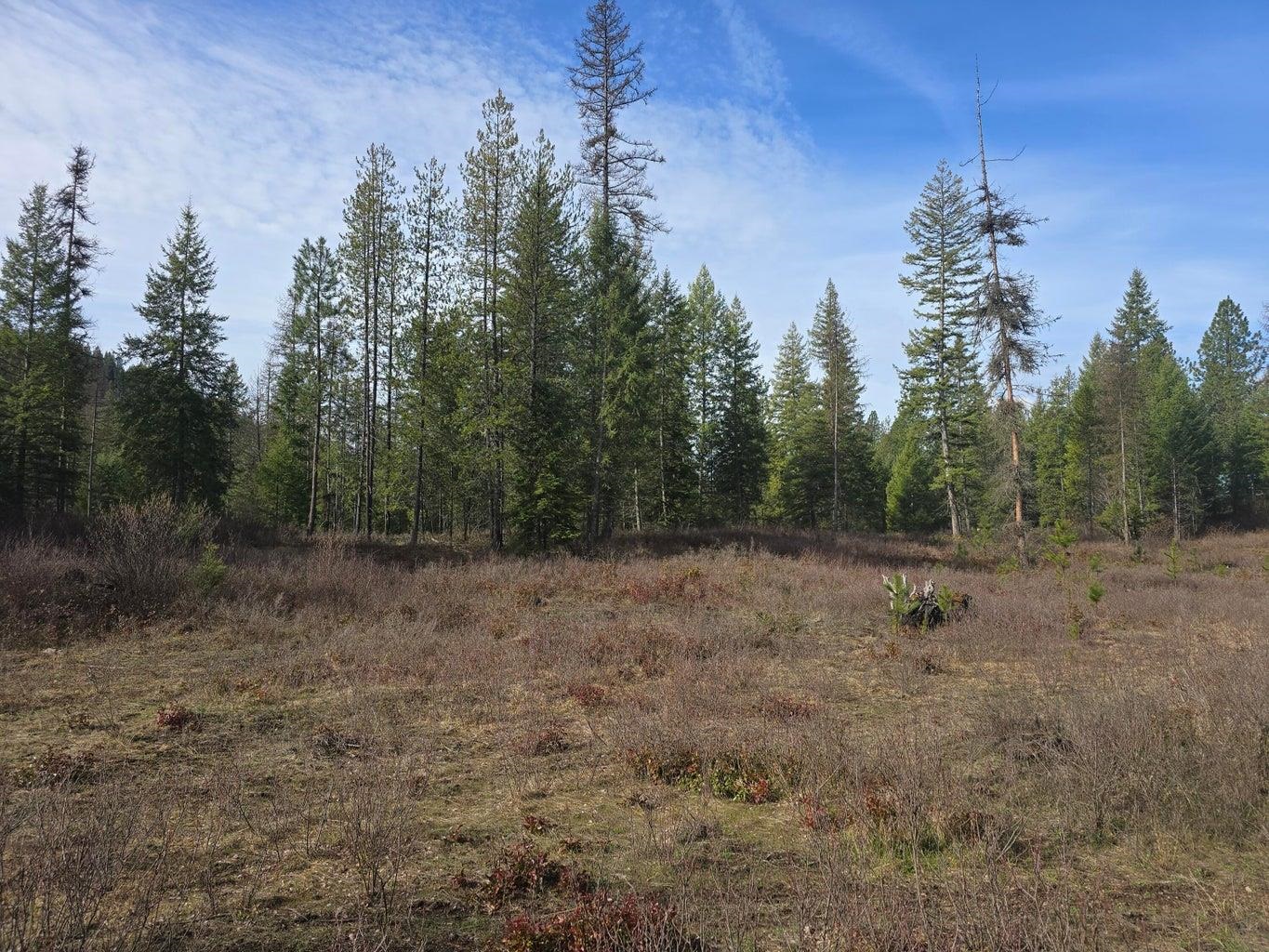 3XXX Lot #11 Larkspur Way - Photo 1