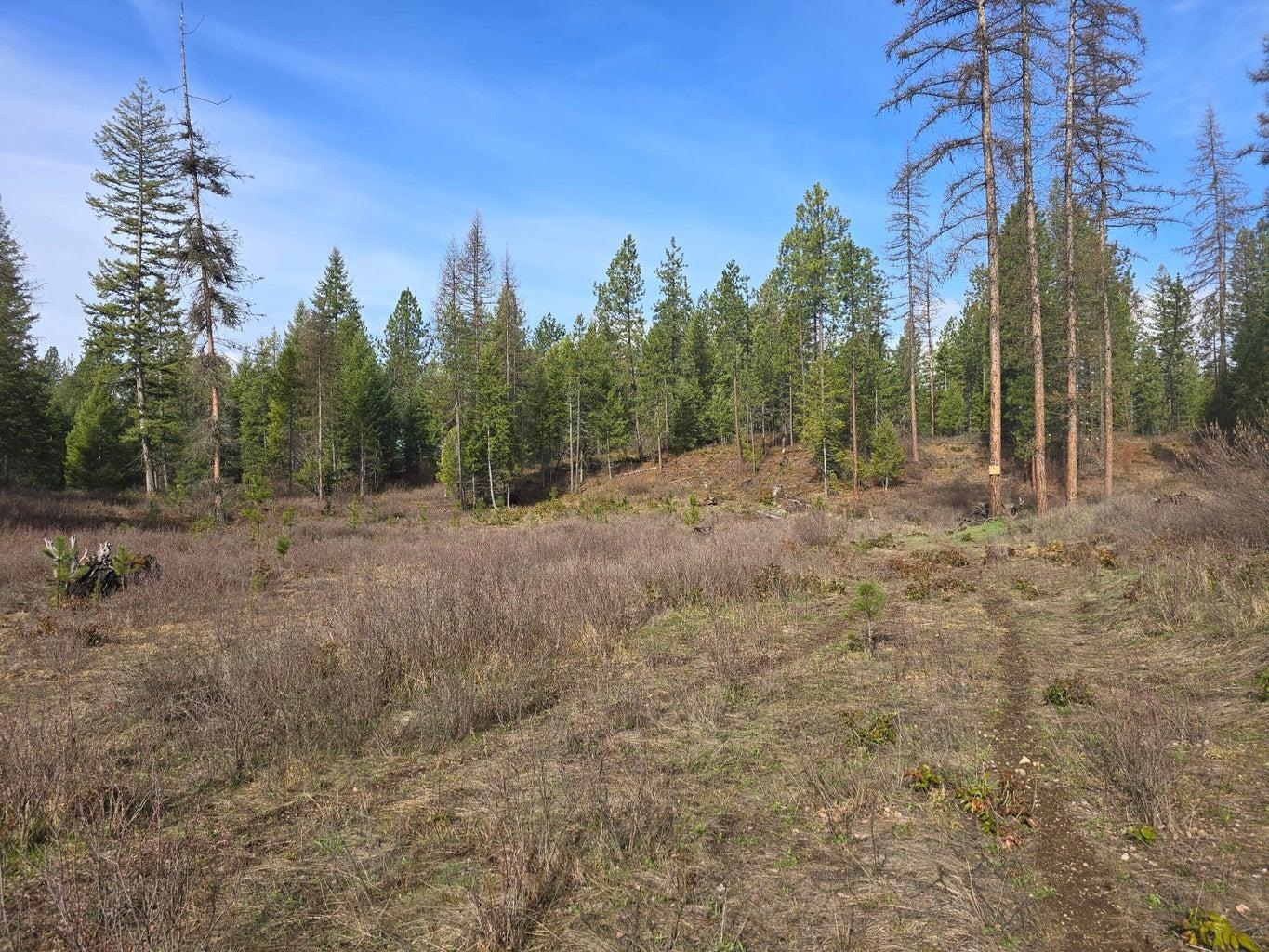 3XXX Lot #11 Larkspur Way - Photo 2