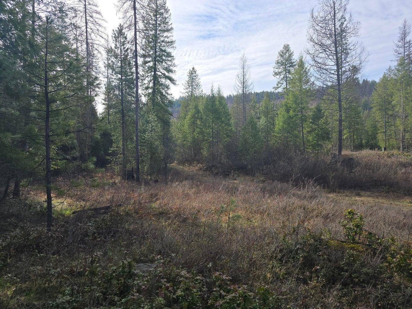 3XXX Lot #11 Larkspur Way - Photo 3