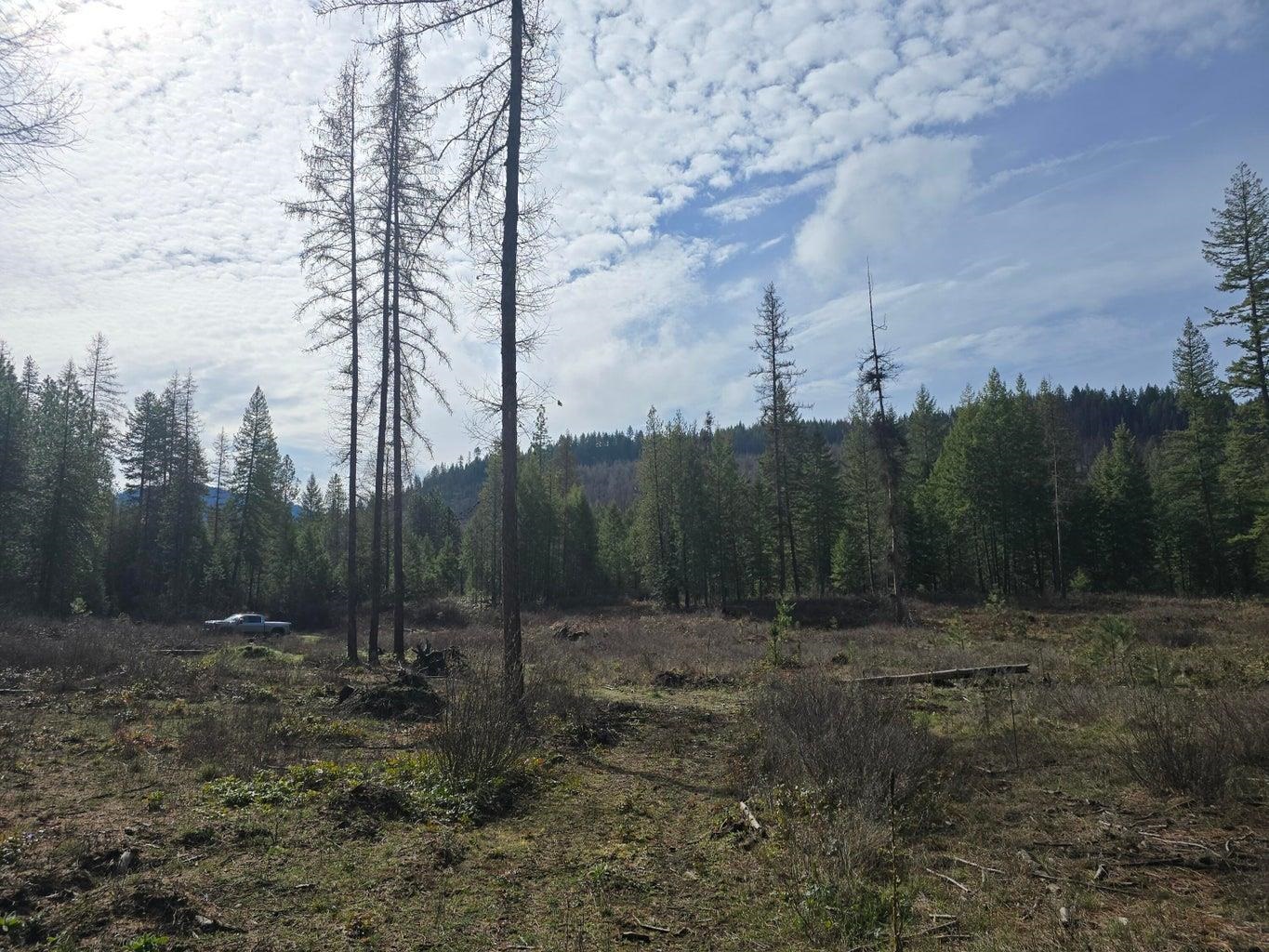 3XXX Lot #11 Larkspur Way - Photo 4