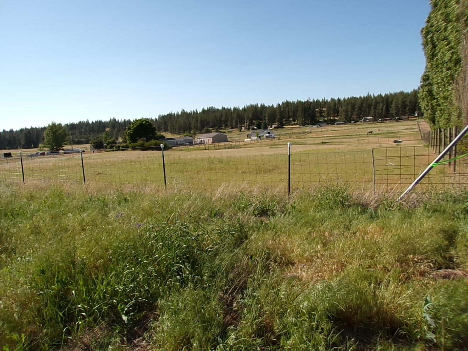 37160 W WOOD Ln - Photo 33