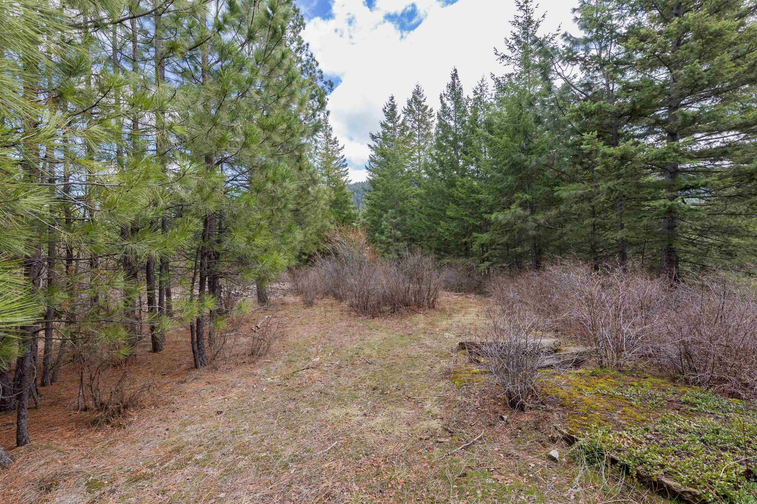 31xxx N South Jackson Rd - Photo 1